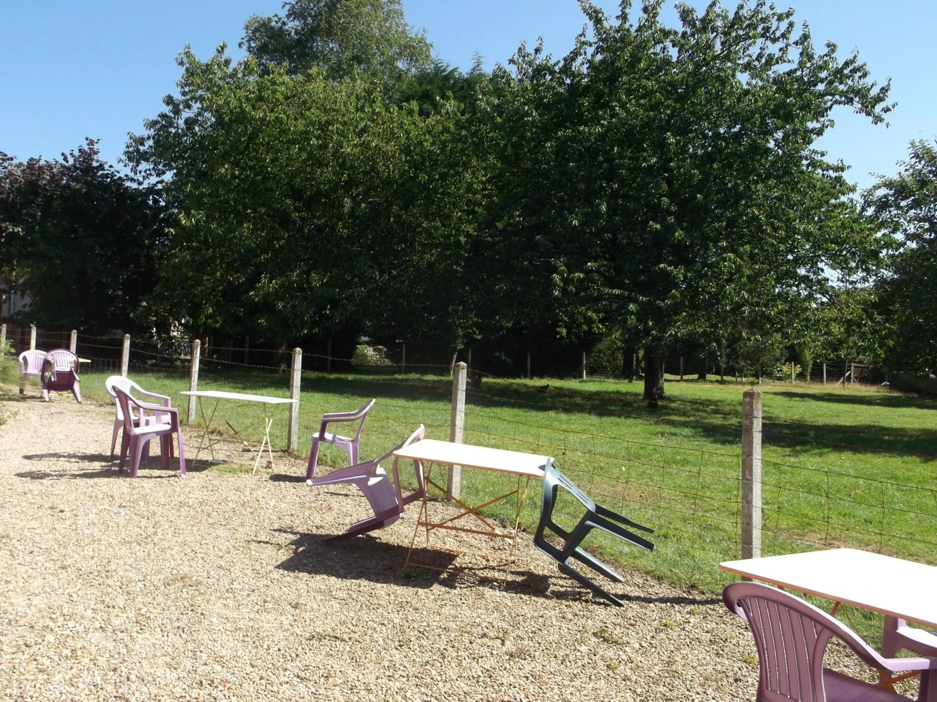 Garden in Logis Hôtel Restaurant Auberge Saint Martin