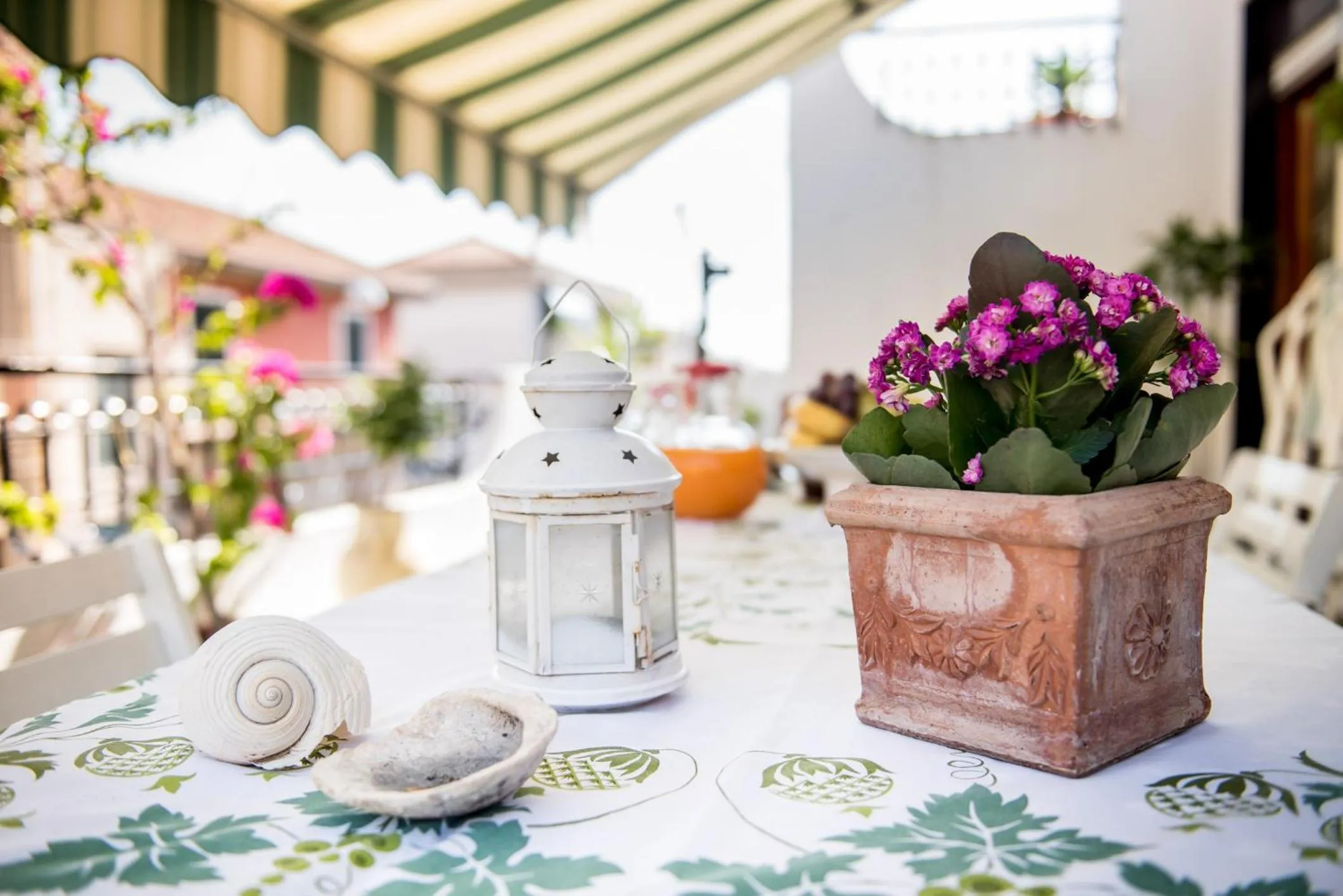 Balcony/Terrace in La Castellese