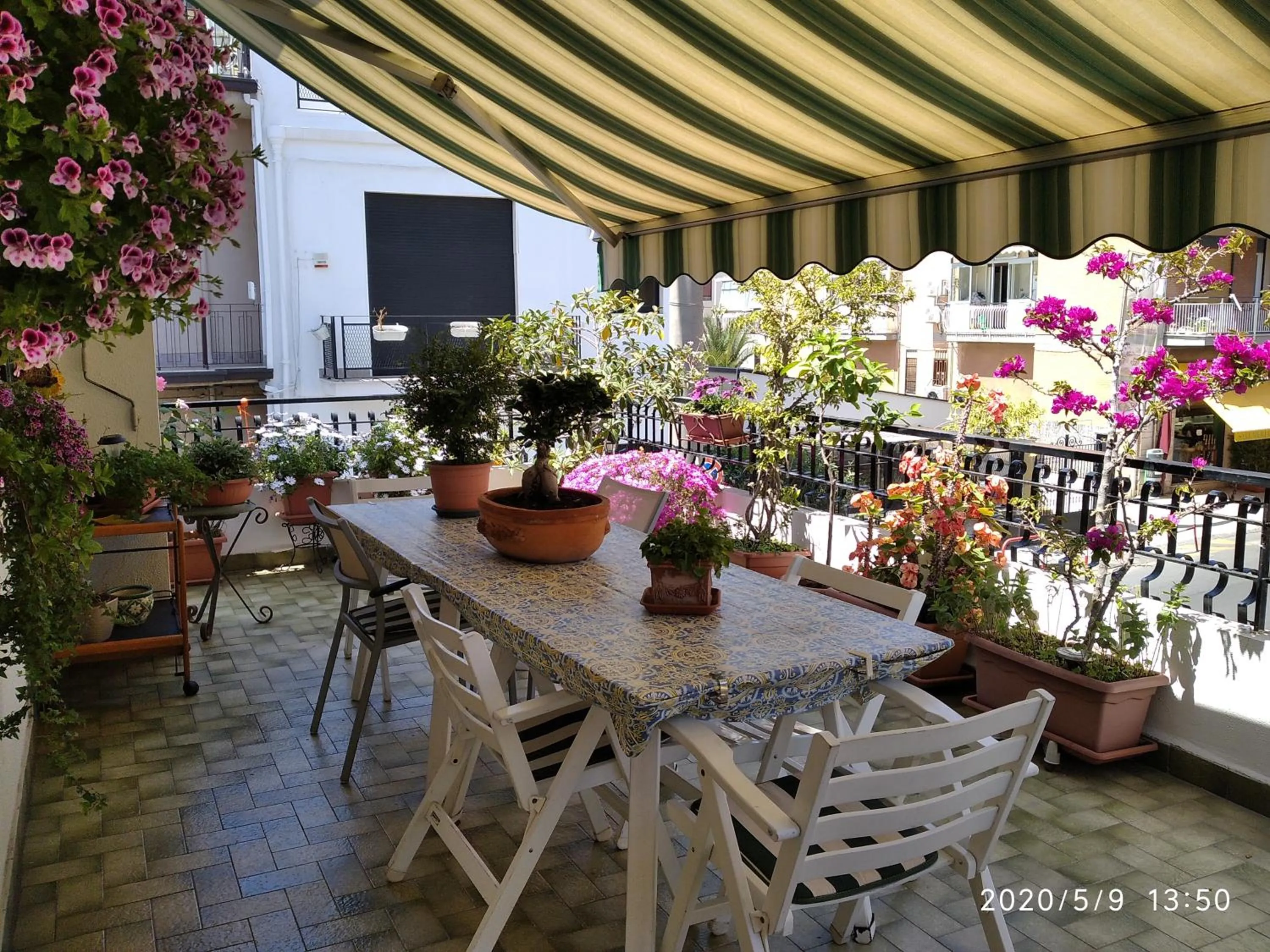 Restaurant/places to eat in La Castellese