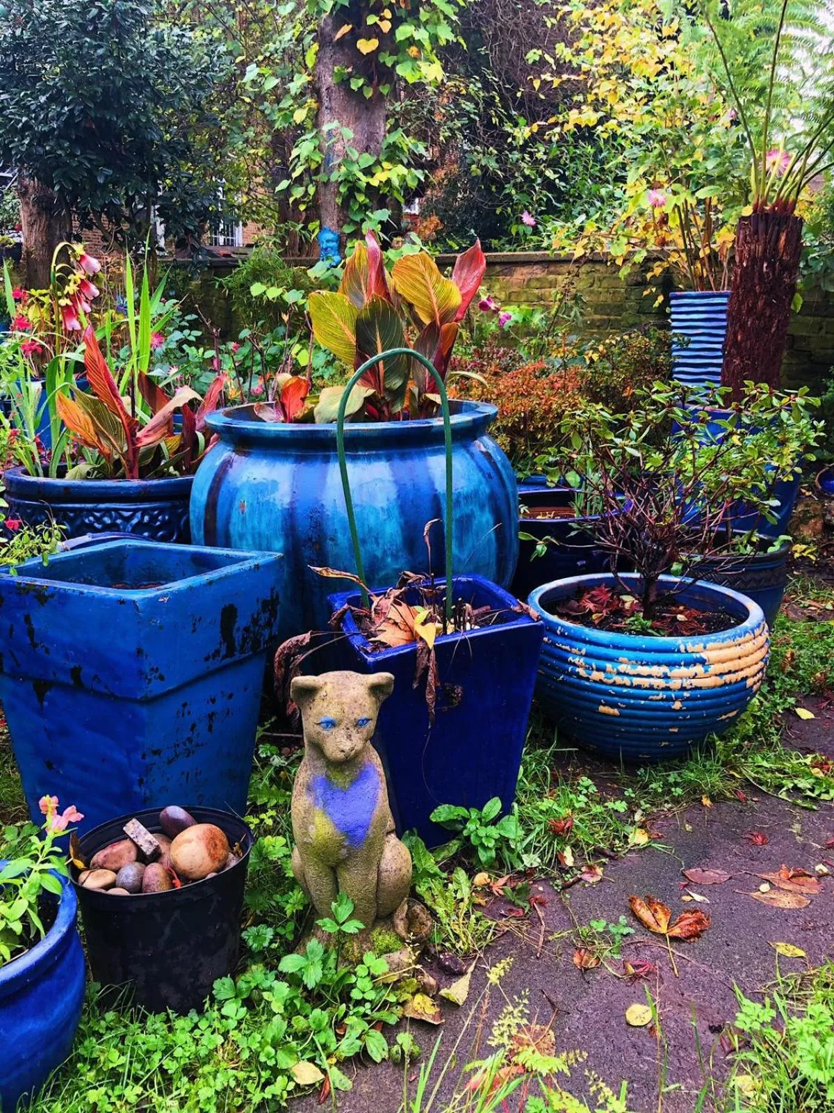 Garden in Caspian Hotel