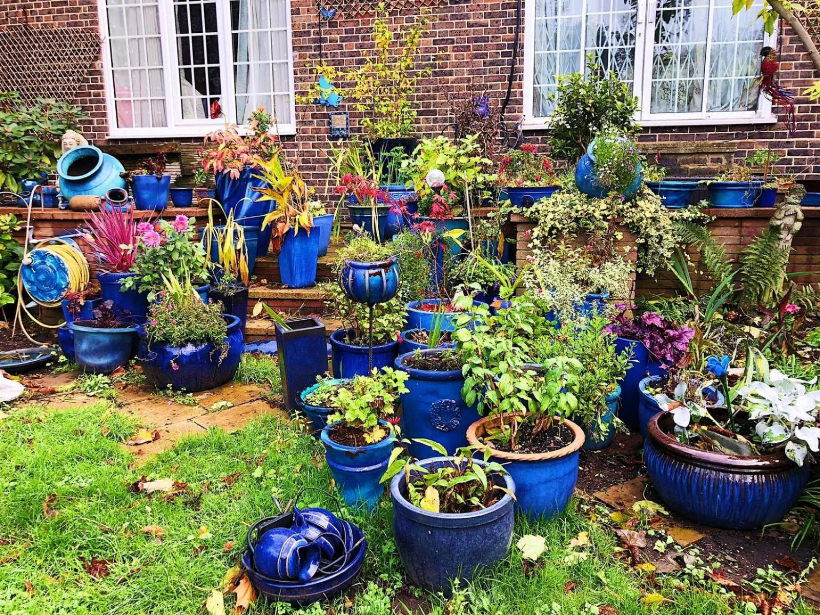 Garden in Caspian Hotel