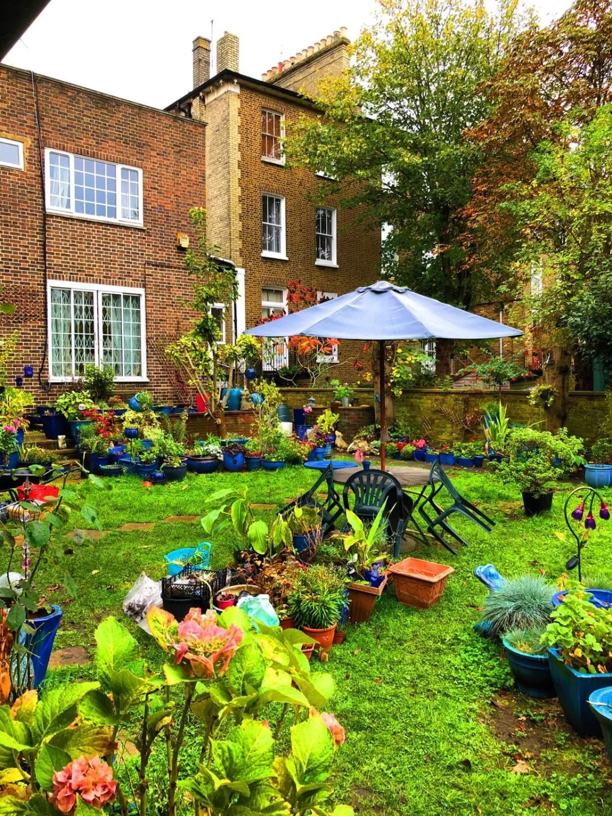 Garden in Caspian Hotel