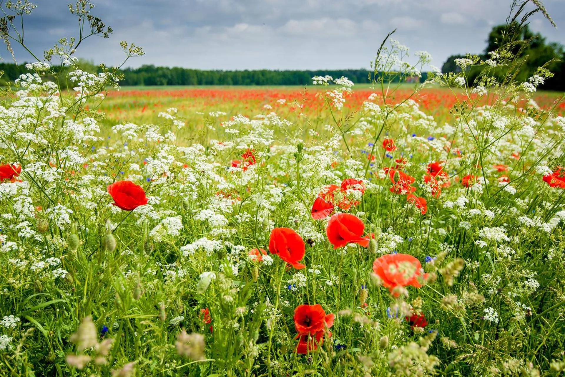Spring in Hotel Barczyzna Medical Spa