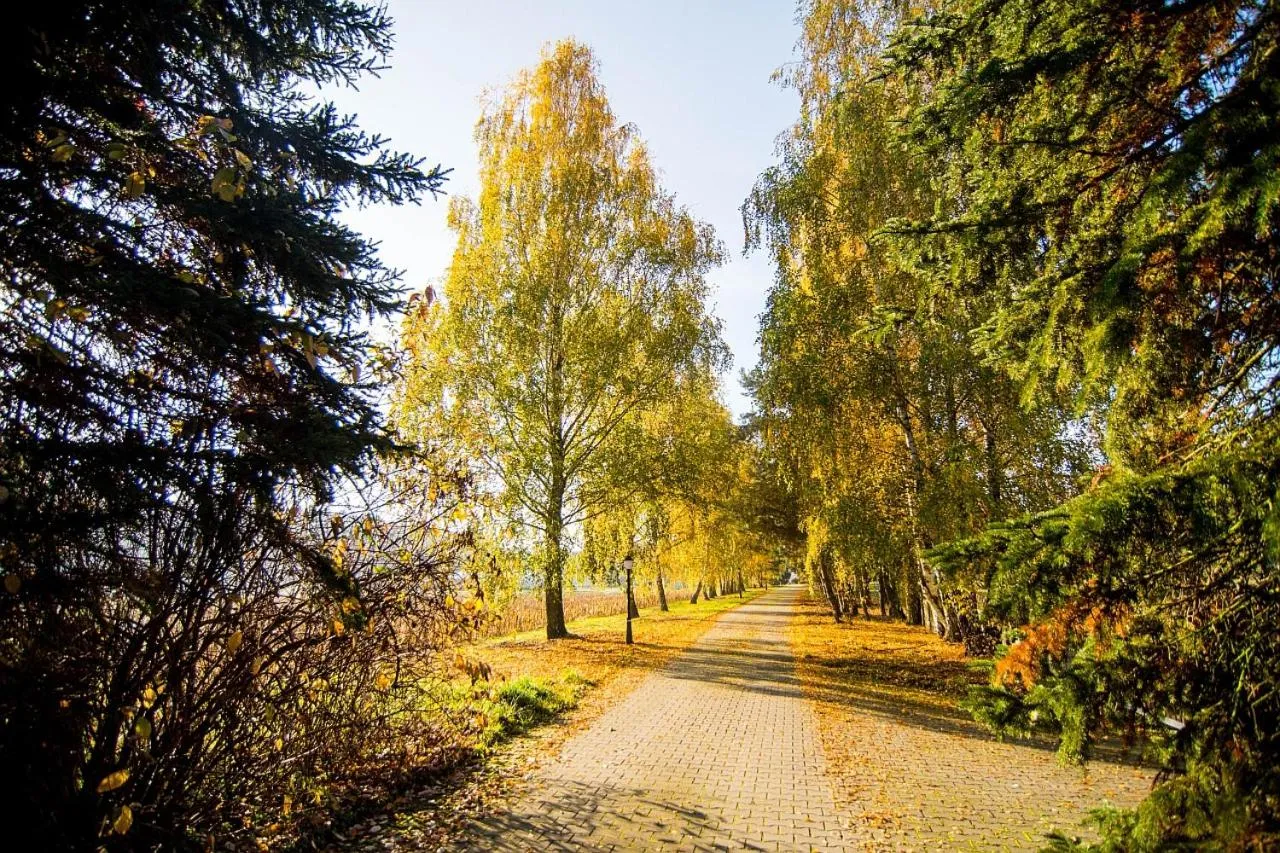 Garden in Hotel Barczyzna Medical Spa
