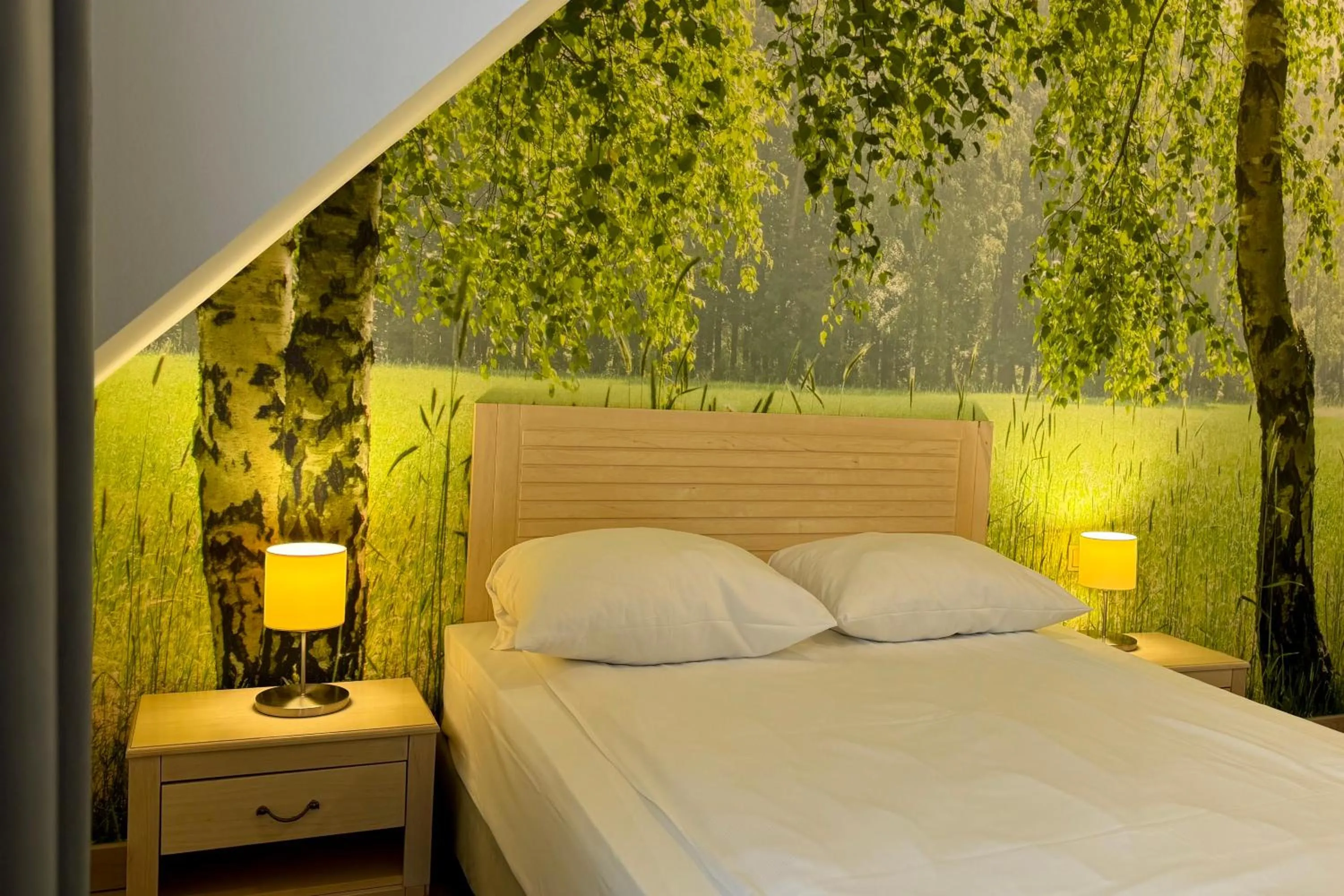 Photo of the whole room, Bed in Hotel Barczyzna Medical Spa