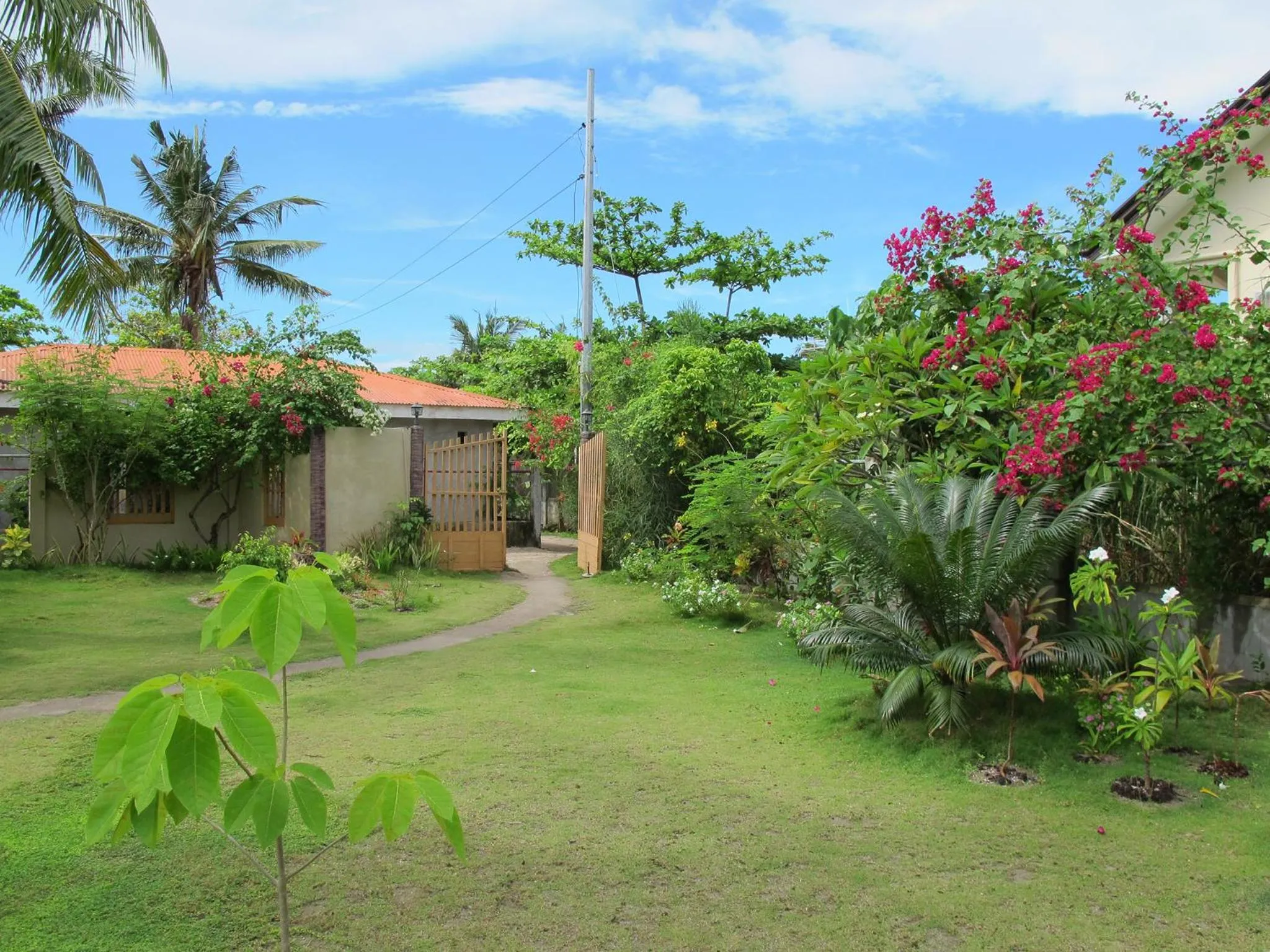 Garden view in Celtis Resort