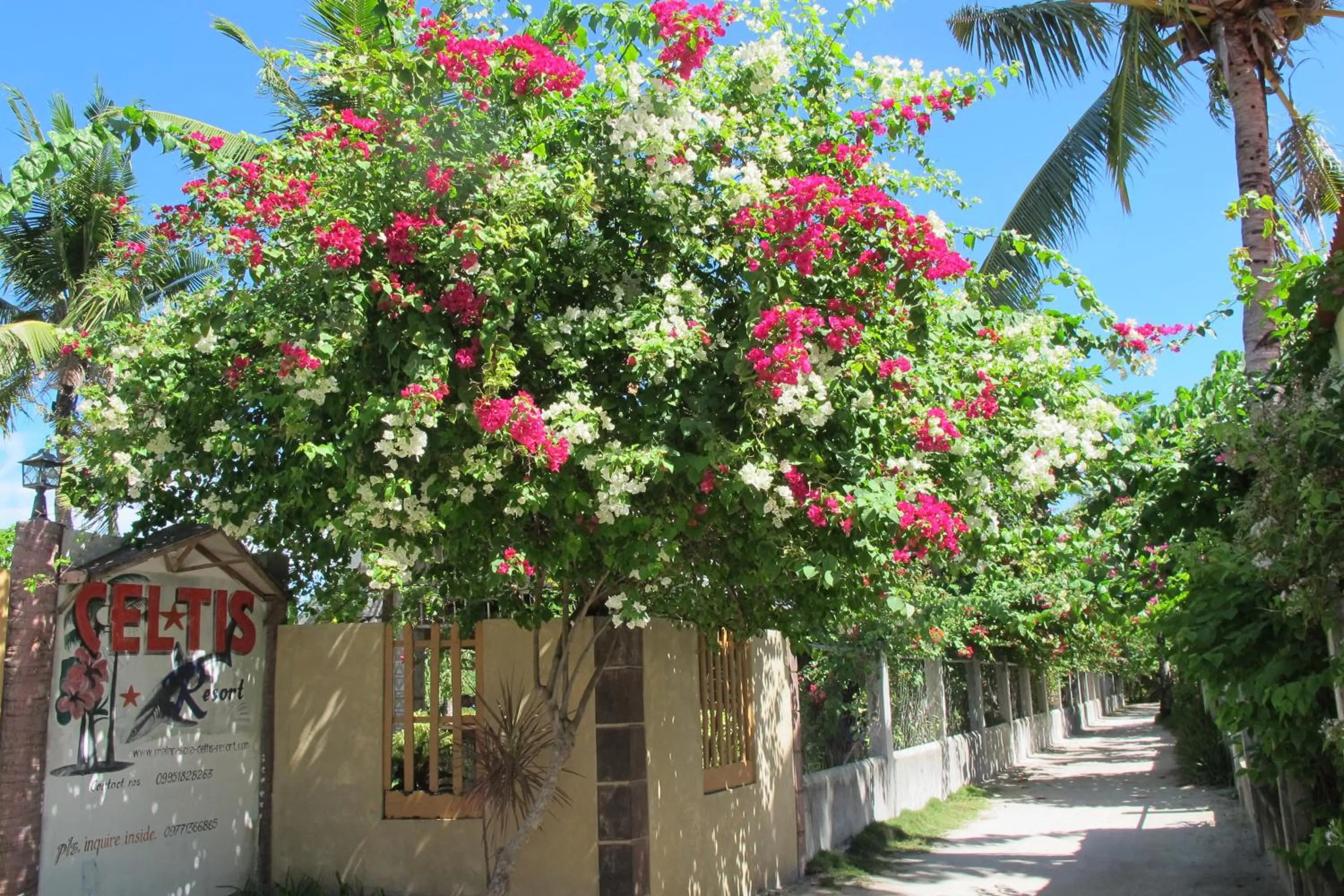 Street view in Celtis Resort