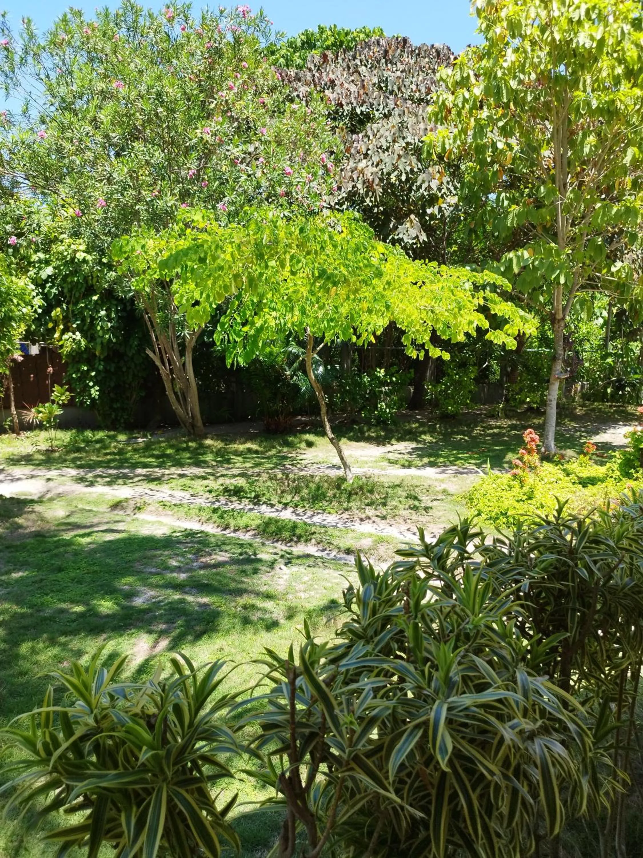 Garden in Celtis Resort