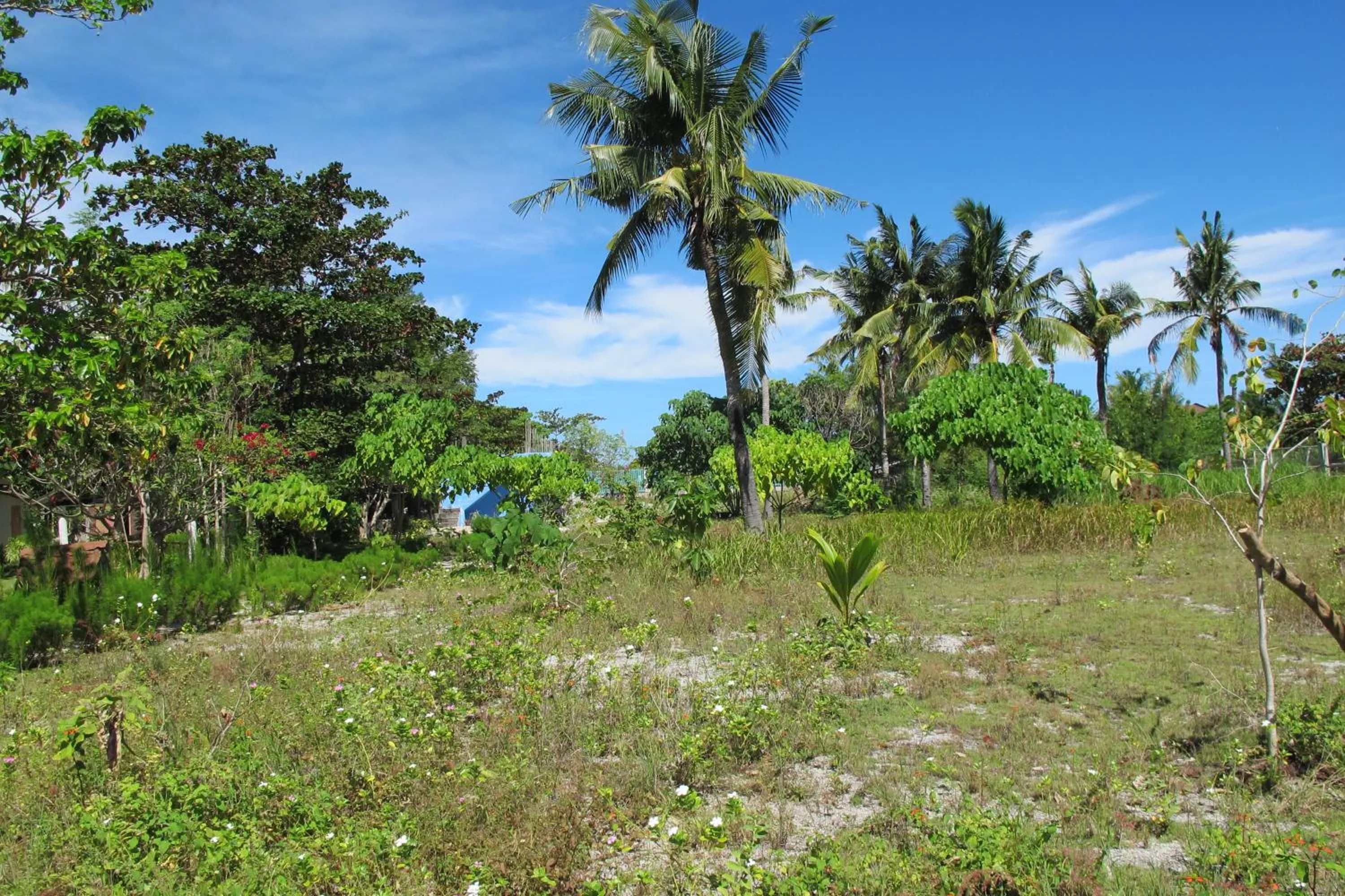 Garden view in Celtis Resort