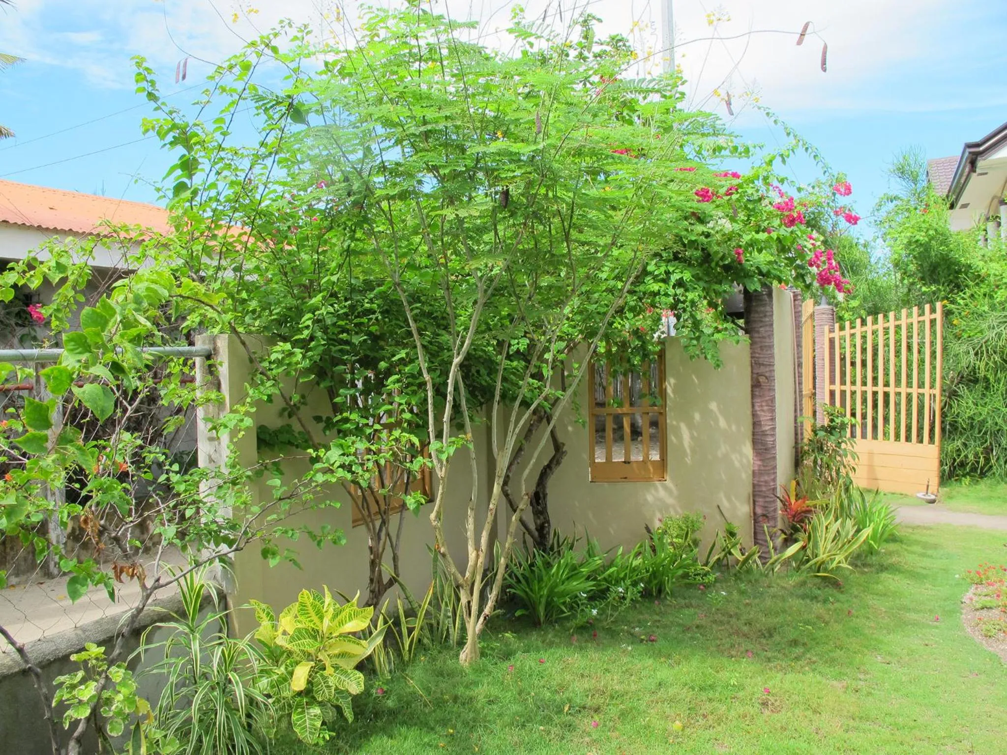 Garden view in Celtis Resort