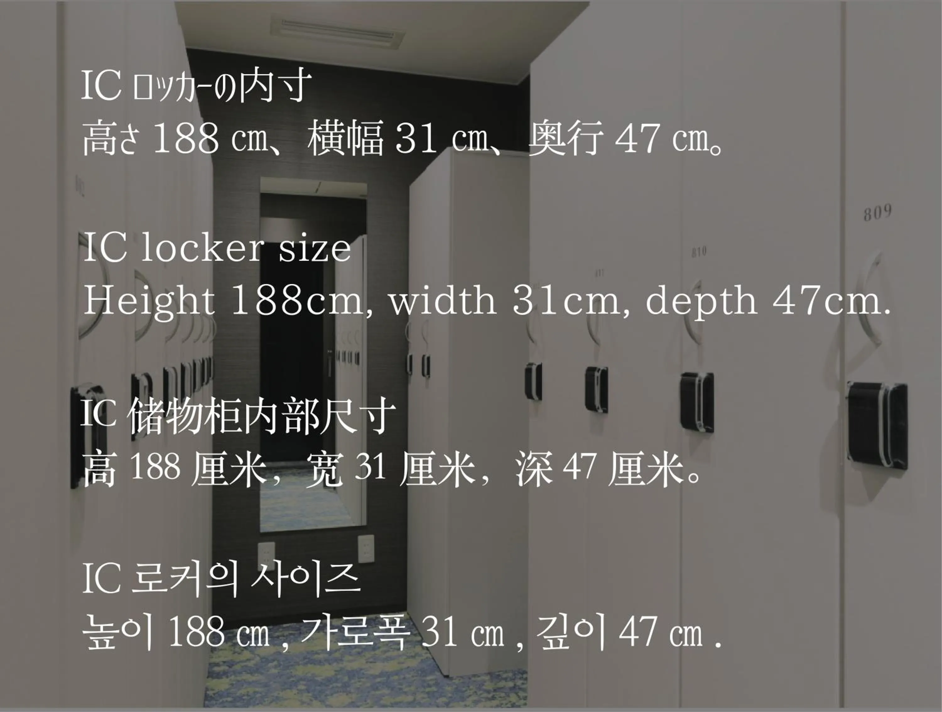 Other in Glansit Akihabara