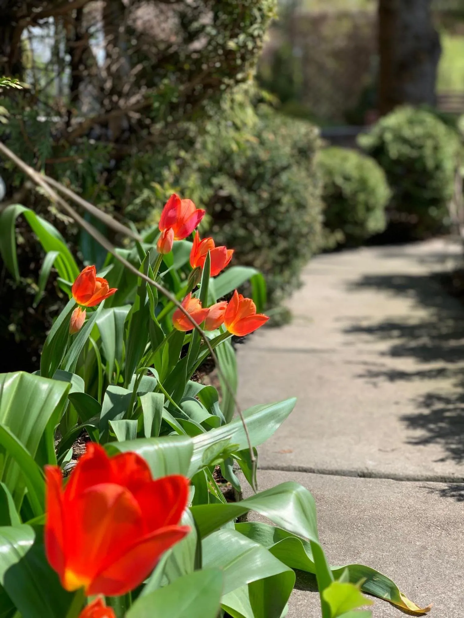 Spring in Hotel Nad Pisą
