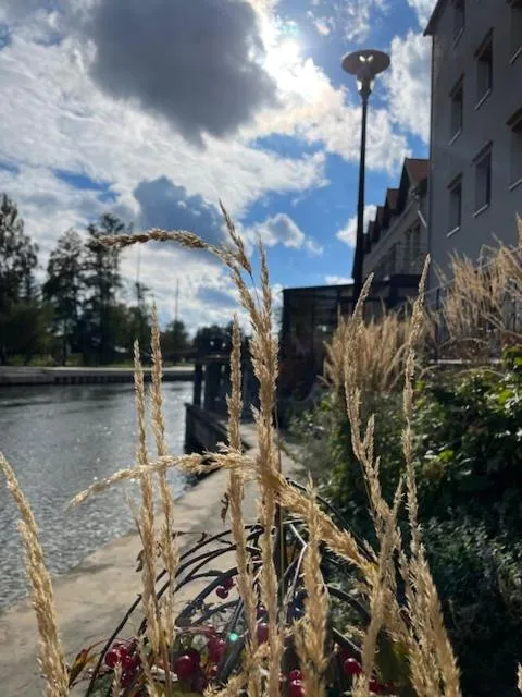 Property building in Hotel Nad Pisą
