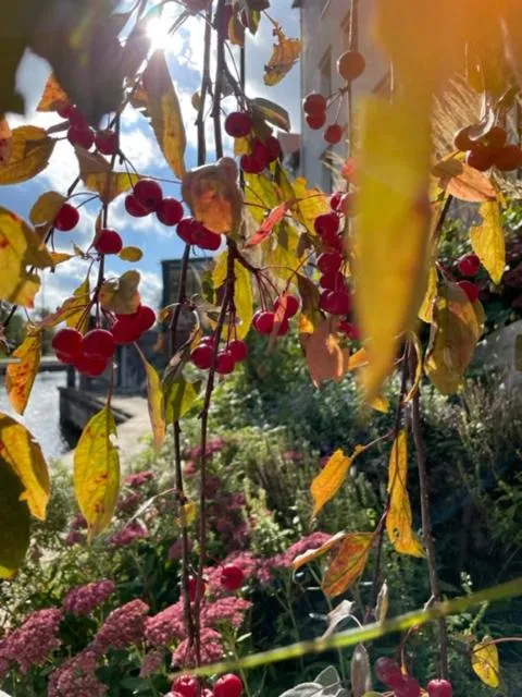 Day in Hotel Nad Pisą