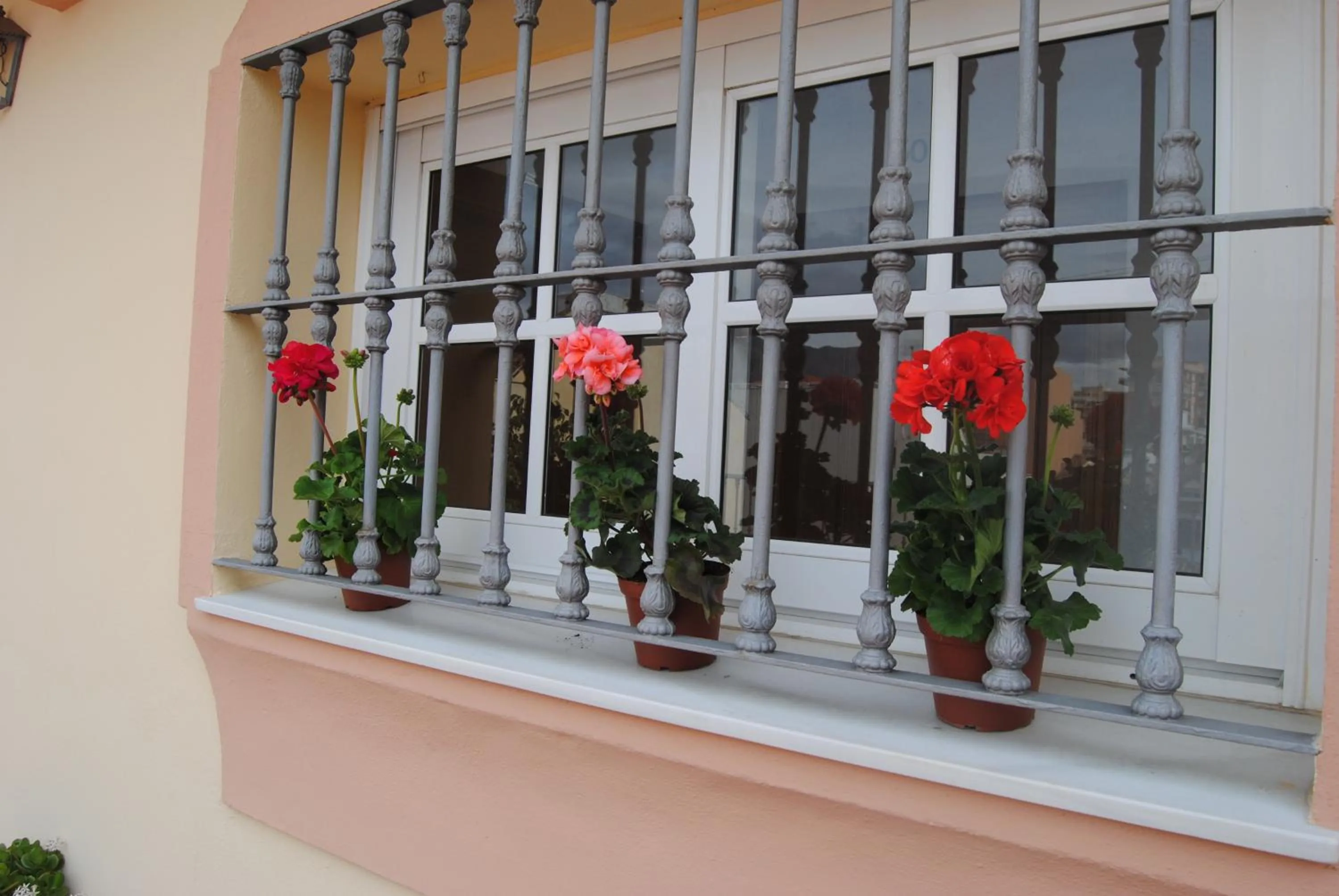 Day in Hostal Italia