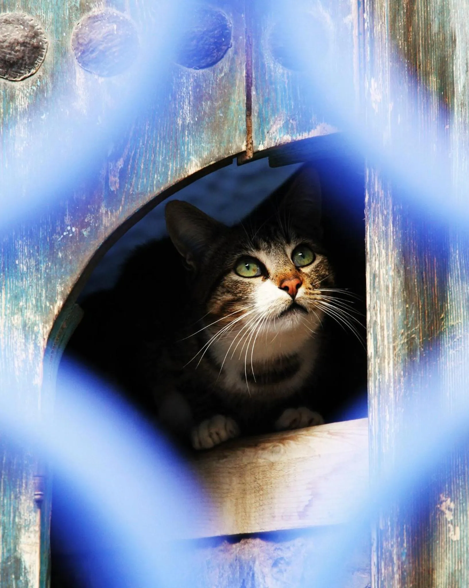 Other in Hotel Dar Mounir