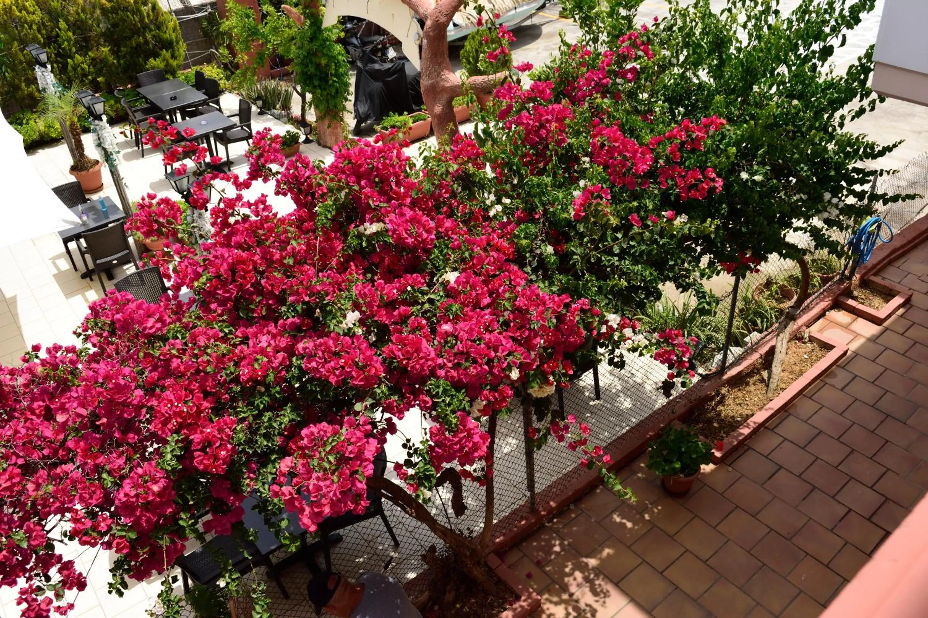 Lounge or bar in Jechrina