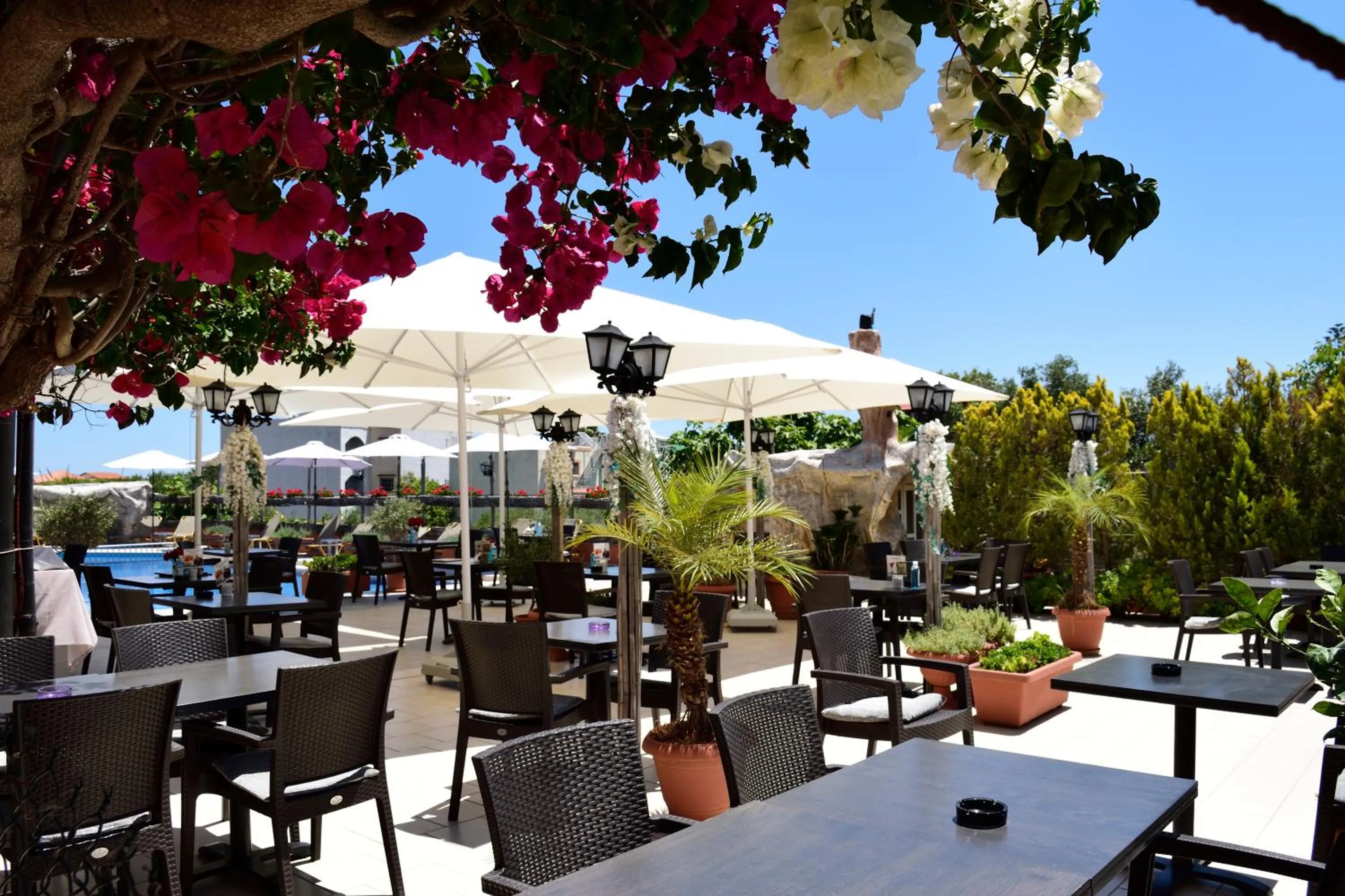 Restaurant/places to eat in Jechrina