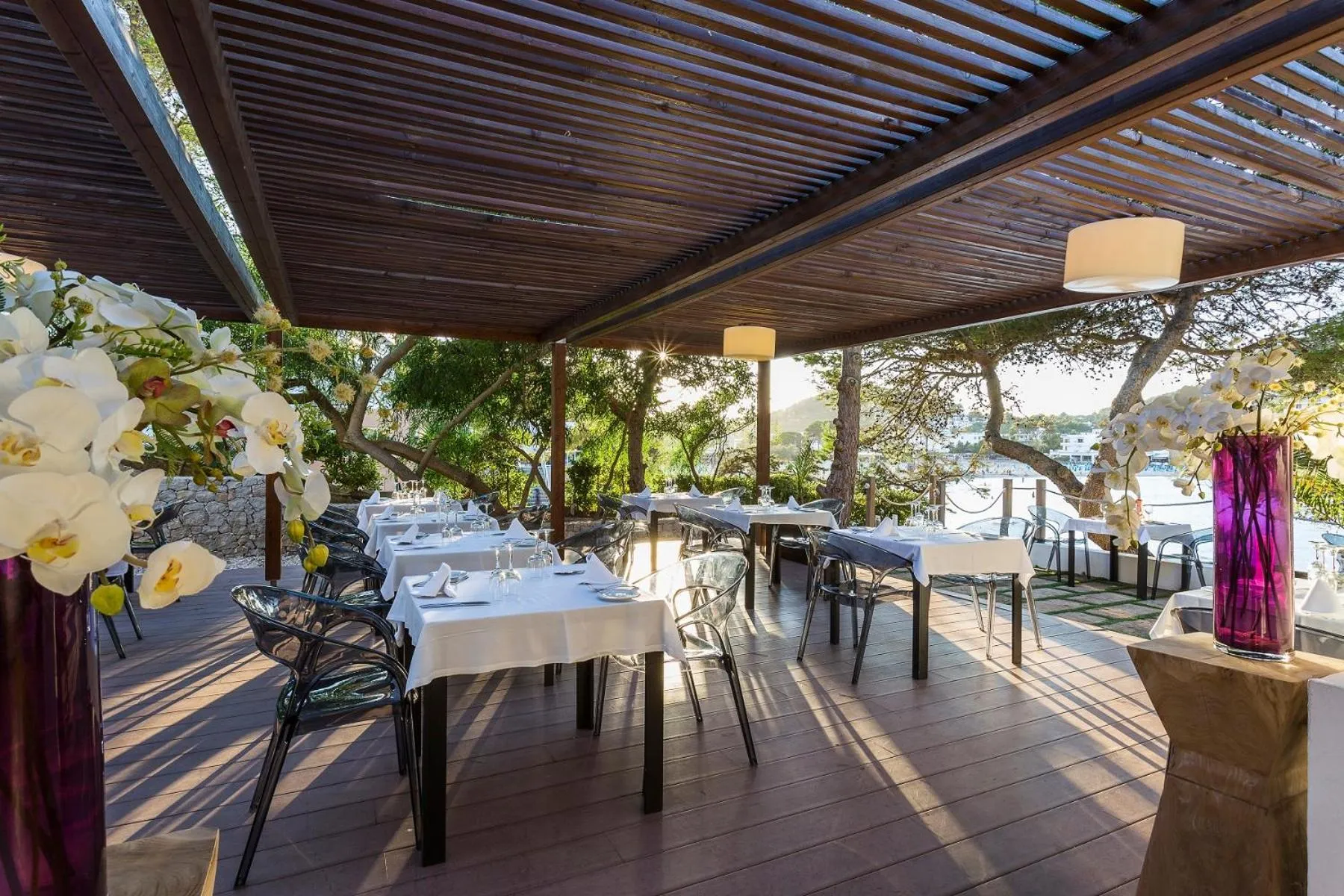 Restaurant/places to eat in Palladium Hotel Cala Llonga - Adults Only