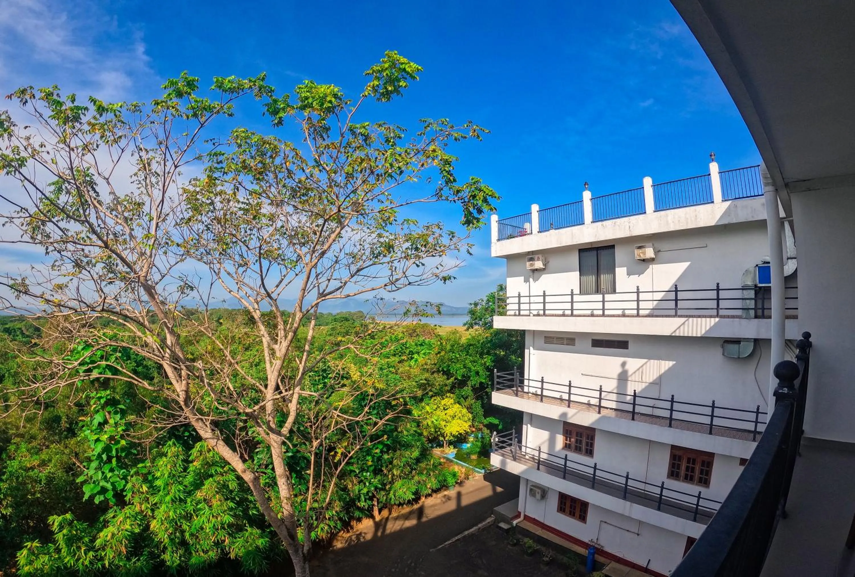 Property building in Centauria Wild Resort