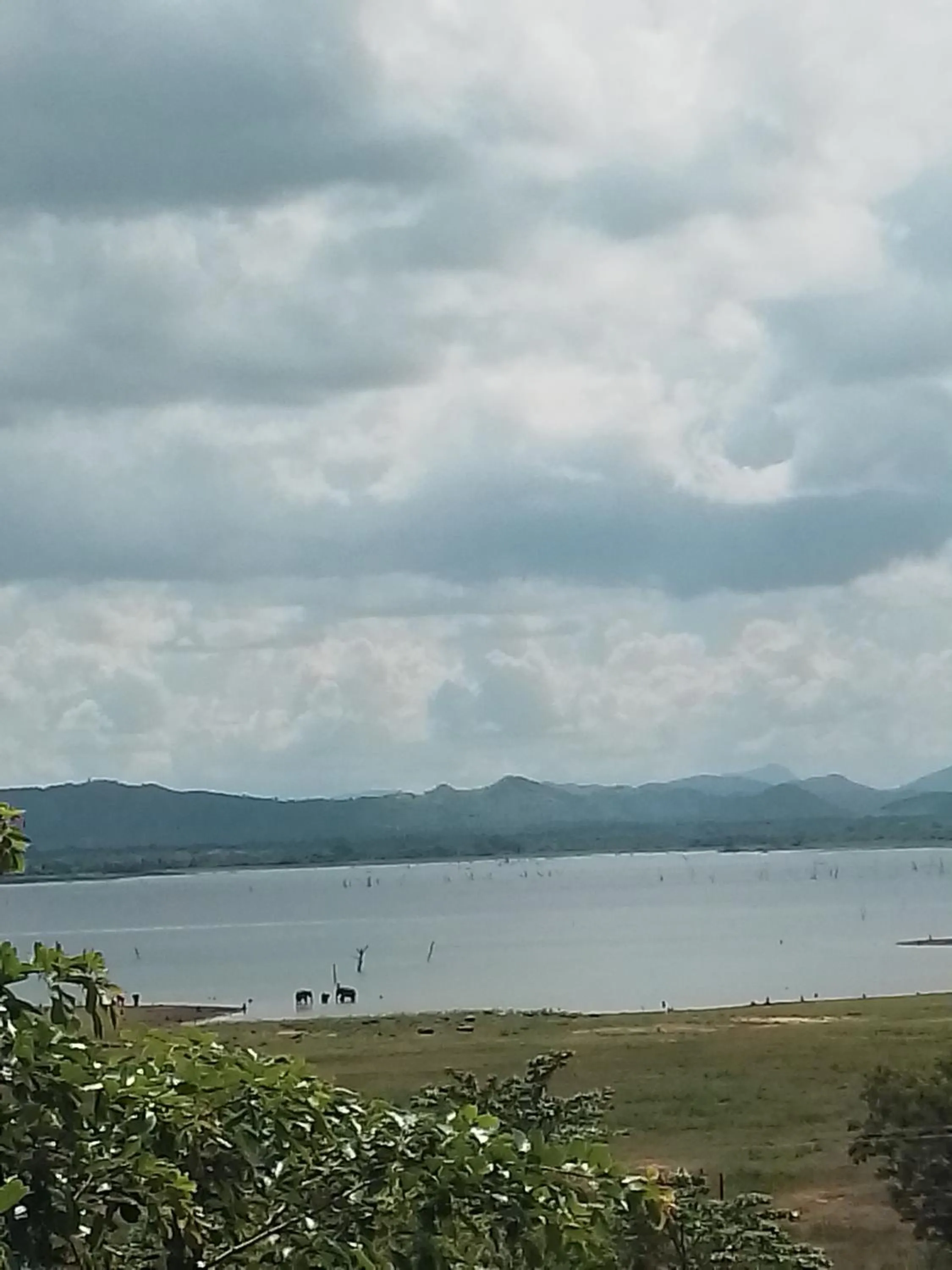 View (from property/room) in Centauria Wild Resort