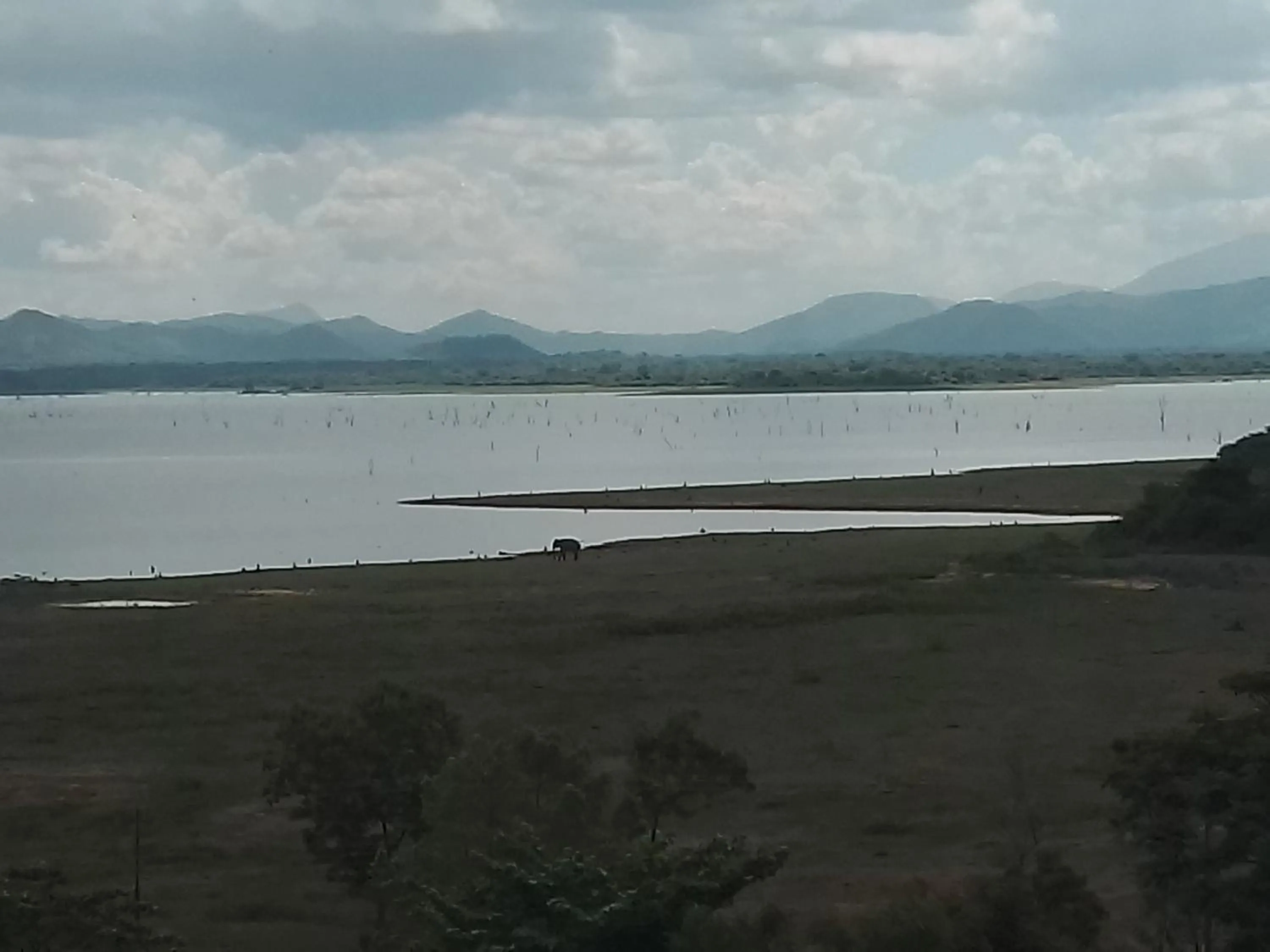 View (from property/room) in Centauria Wild Resort