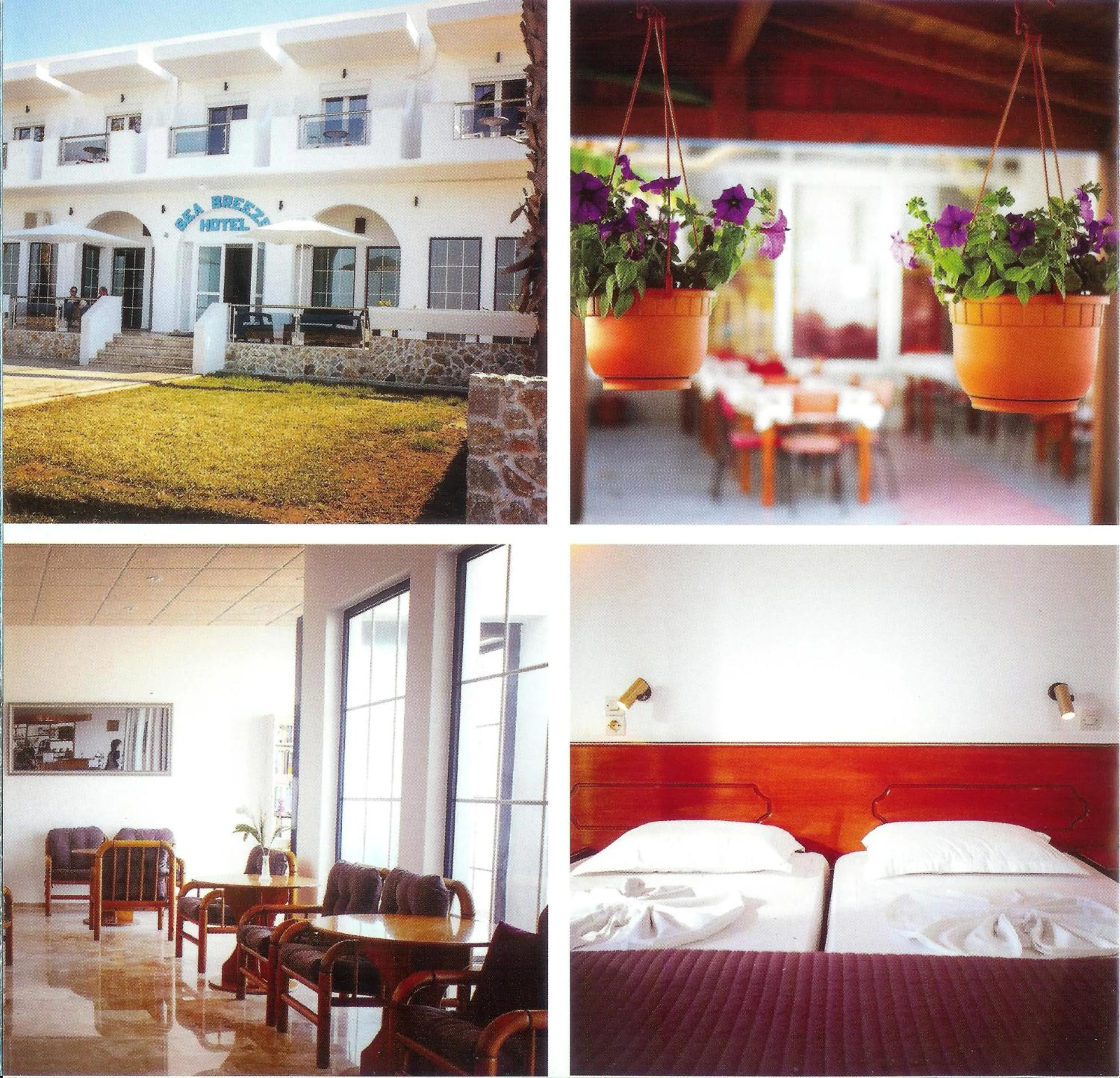 Area and facilities, Bed in Sea Breeze Hotel