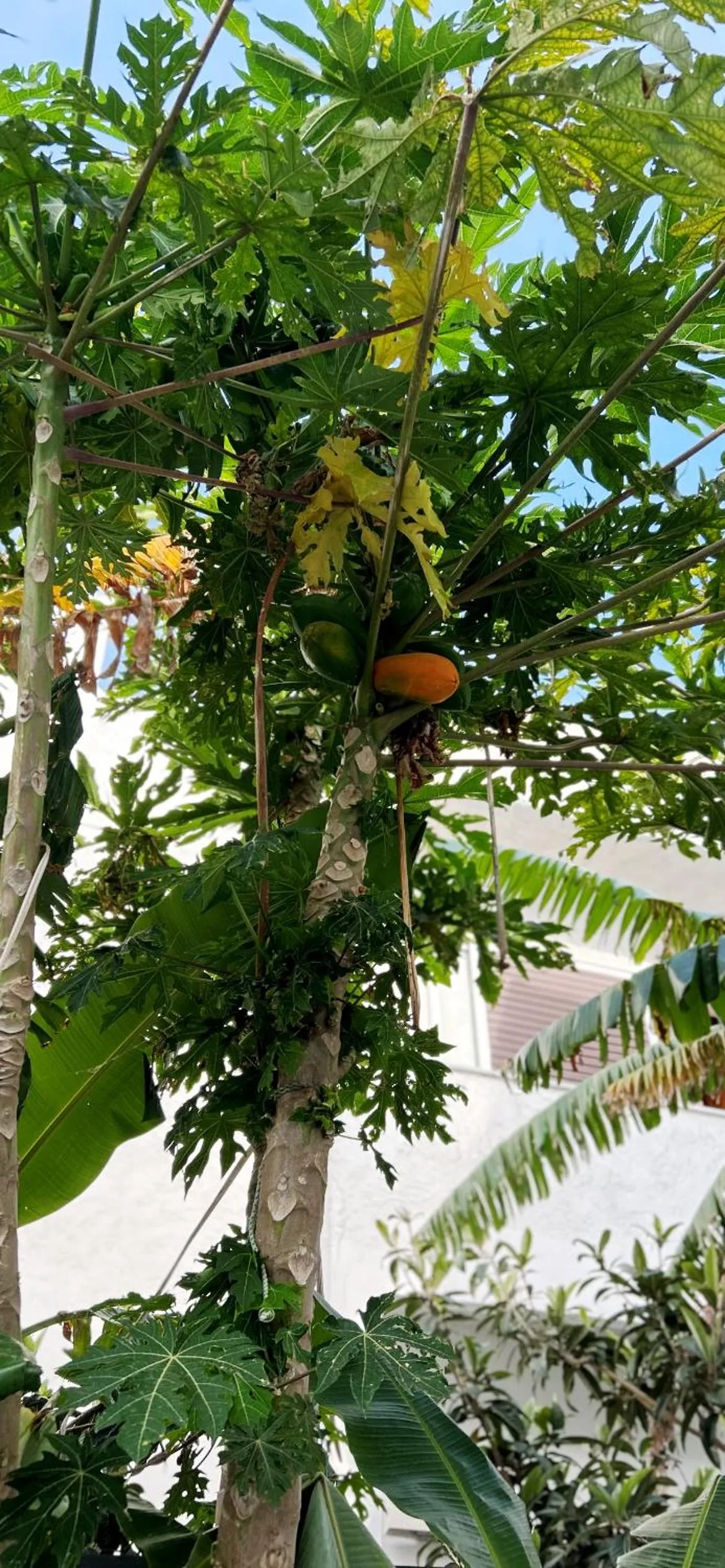 Day in Sea Breeze Hotel