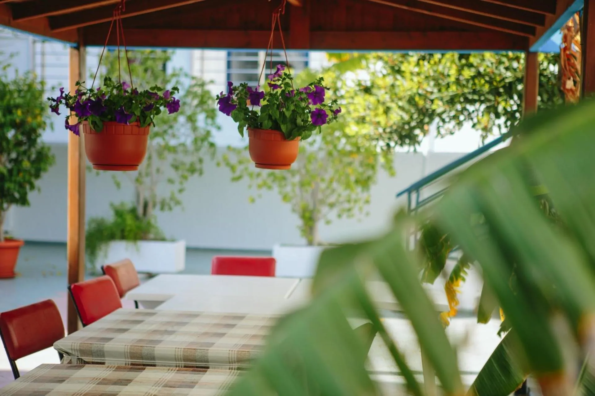 Property building in Sea Breeze Hotel