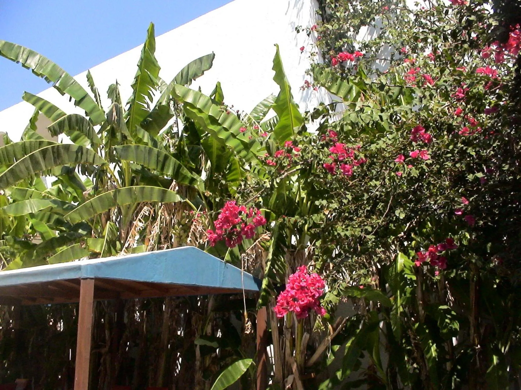 Breakfast in Sea Breeze Hotel