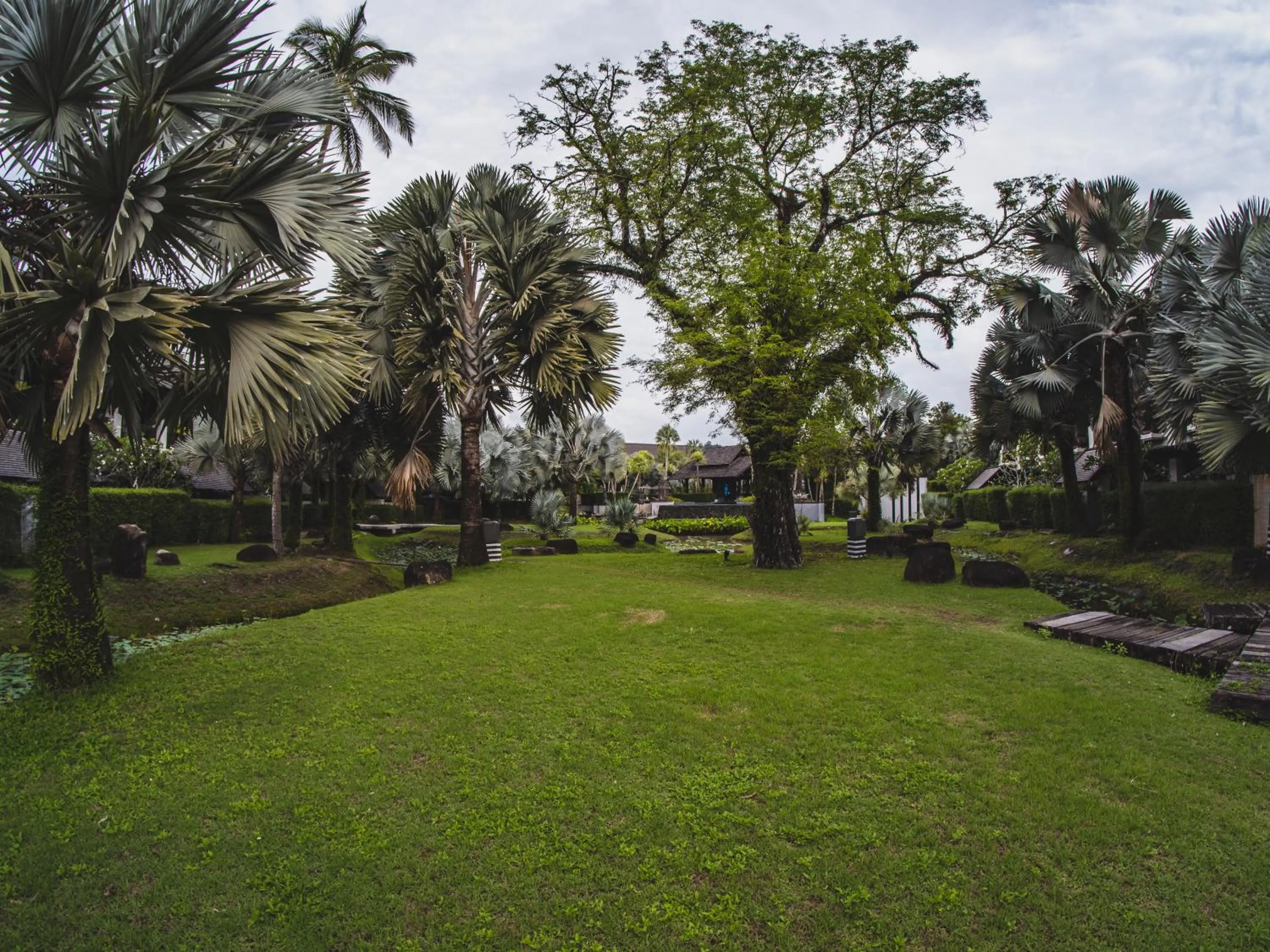 Natural landscape in The Slate, Phuket