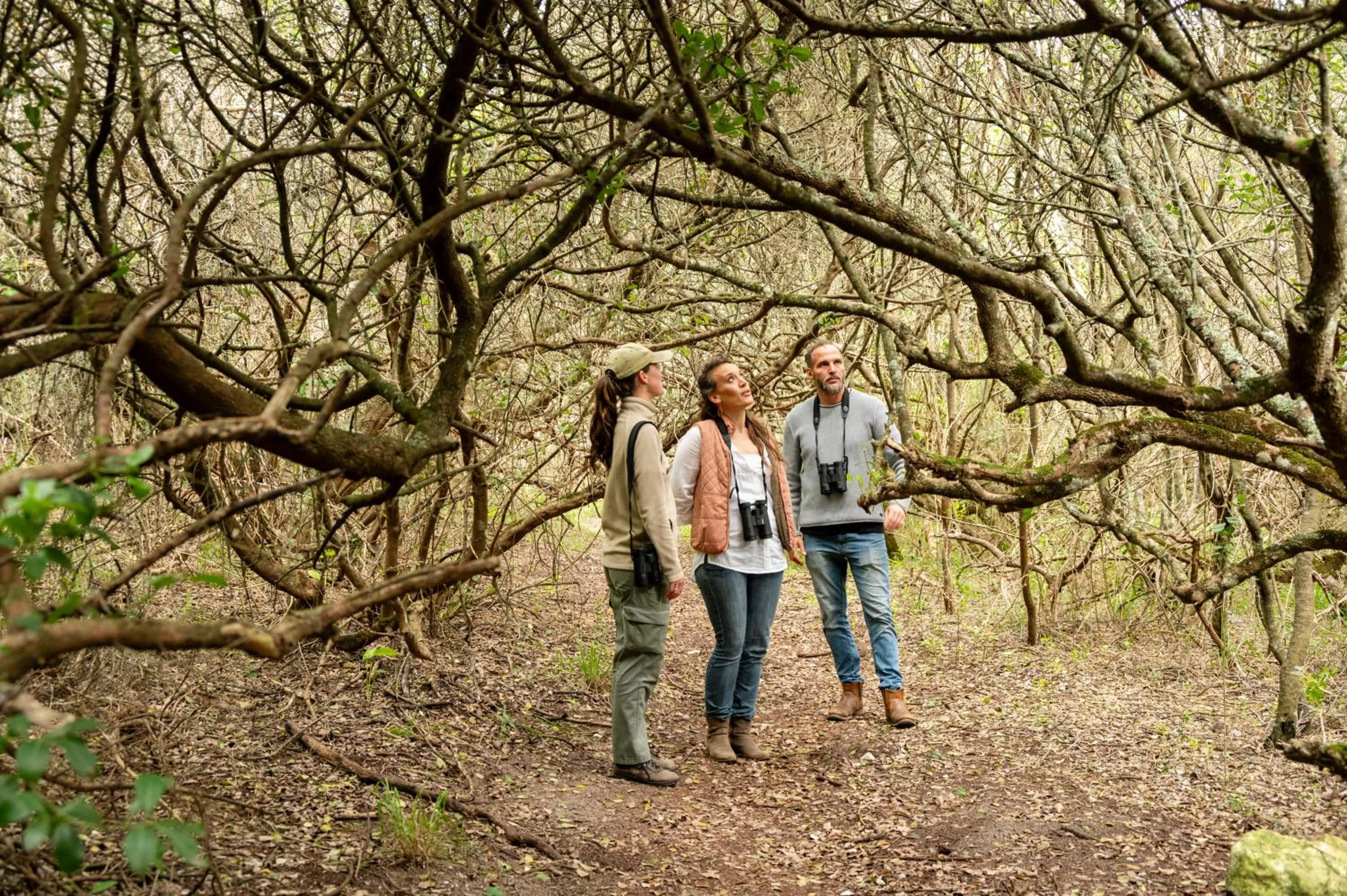 Day in Grootbos Private Nature Reserve
