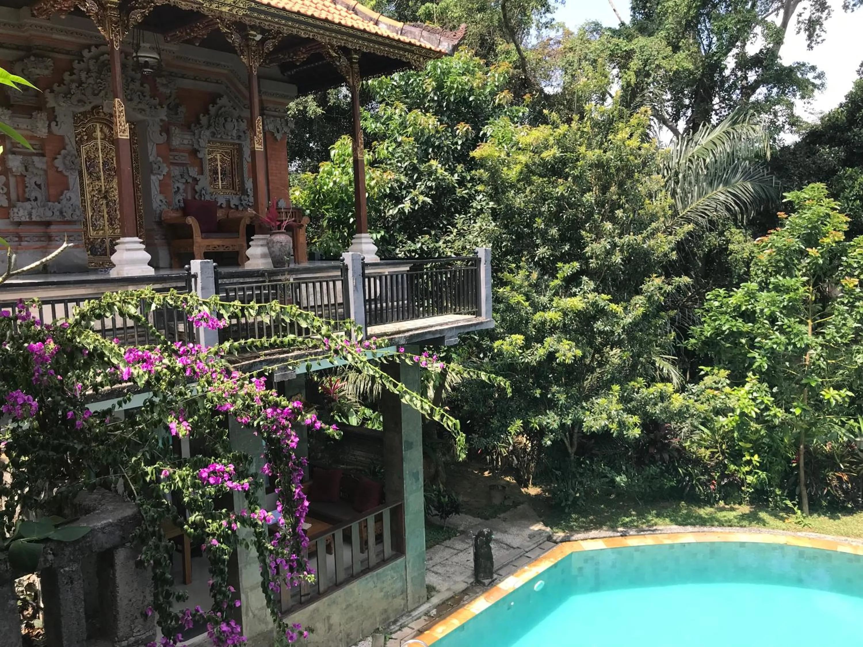 Swimming pool in Baligen Bungalow