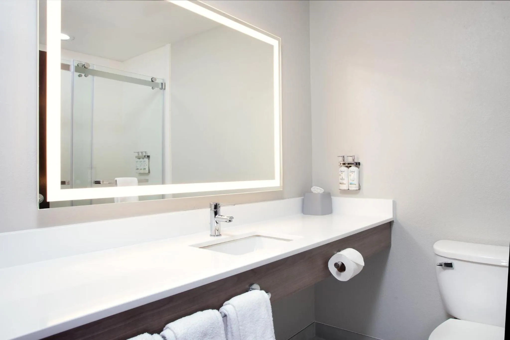 Bathroom in Holiday Inn Express Pekin - Peoria Area by IHG