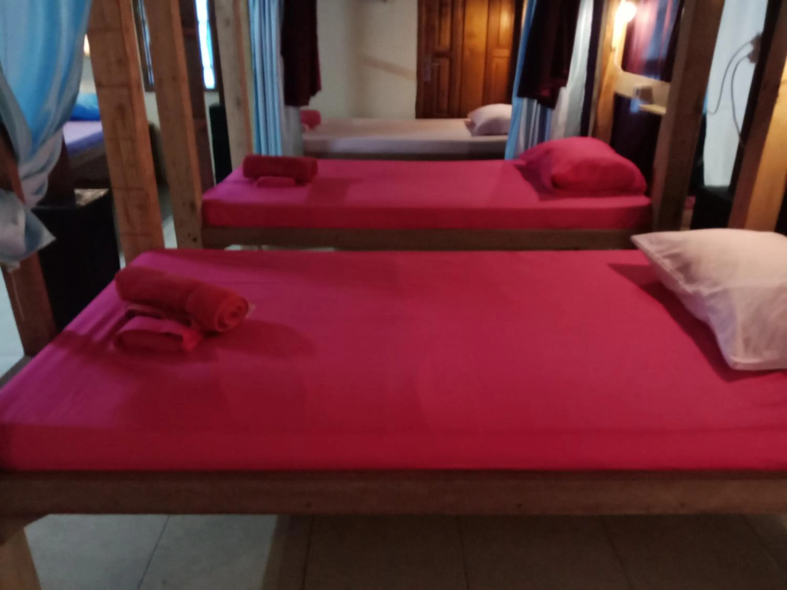 bunk bed, Bed in Arjuna Garden Homestay