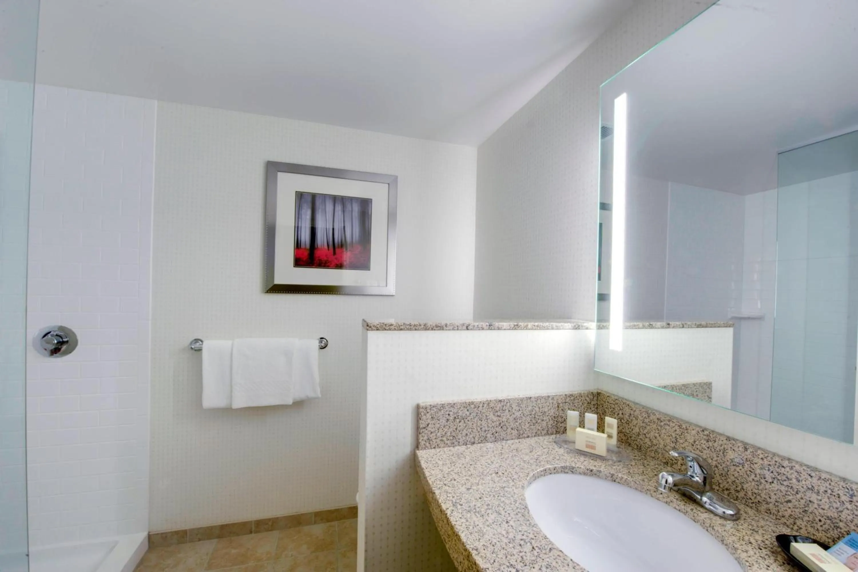 Bathroom in Courtyard Keene Downtown