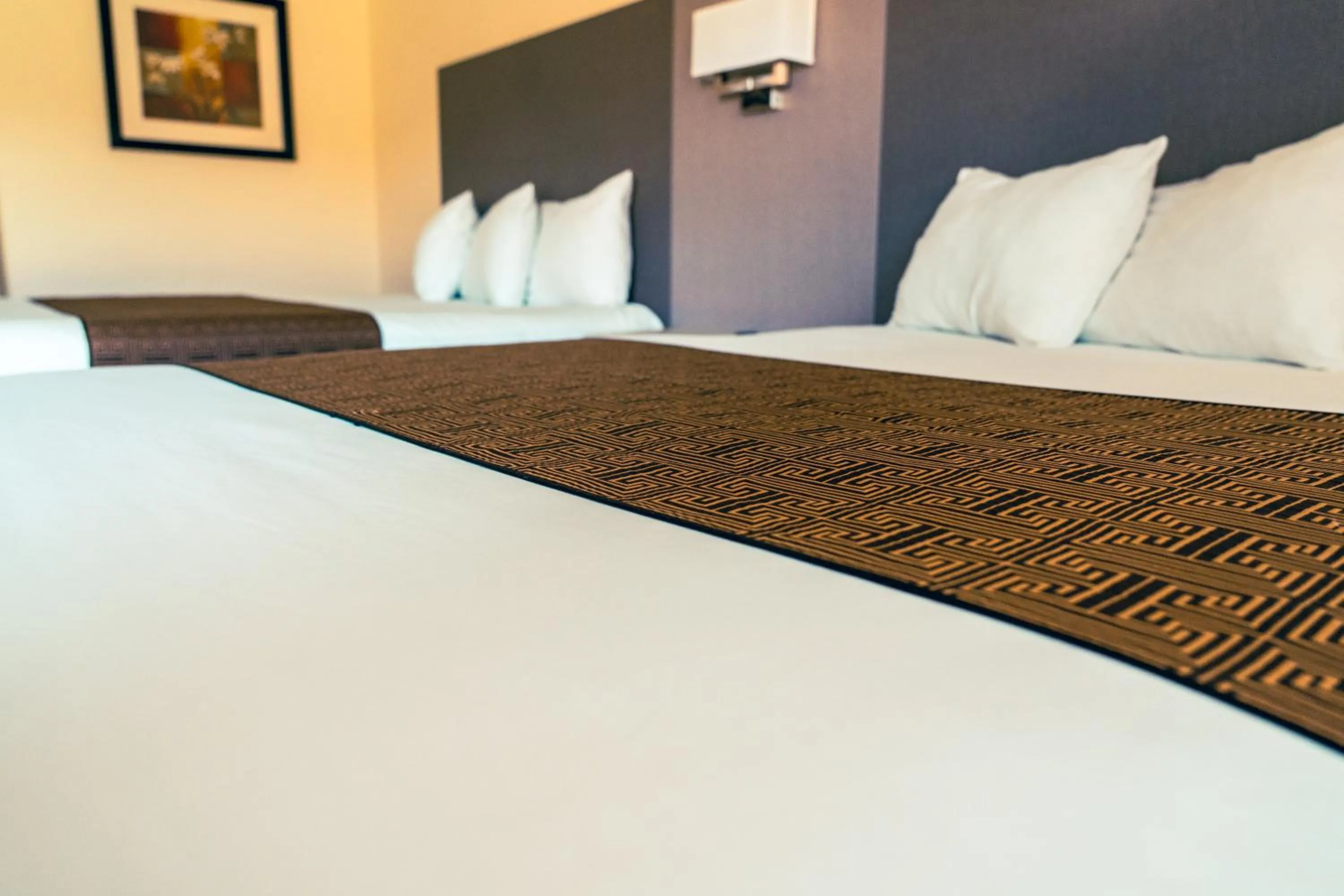 Bed in Silver Surf Motel