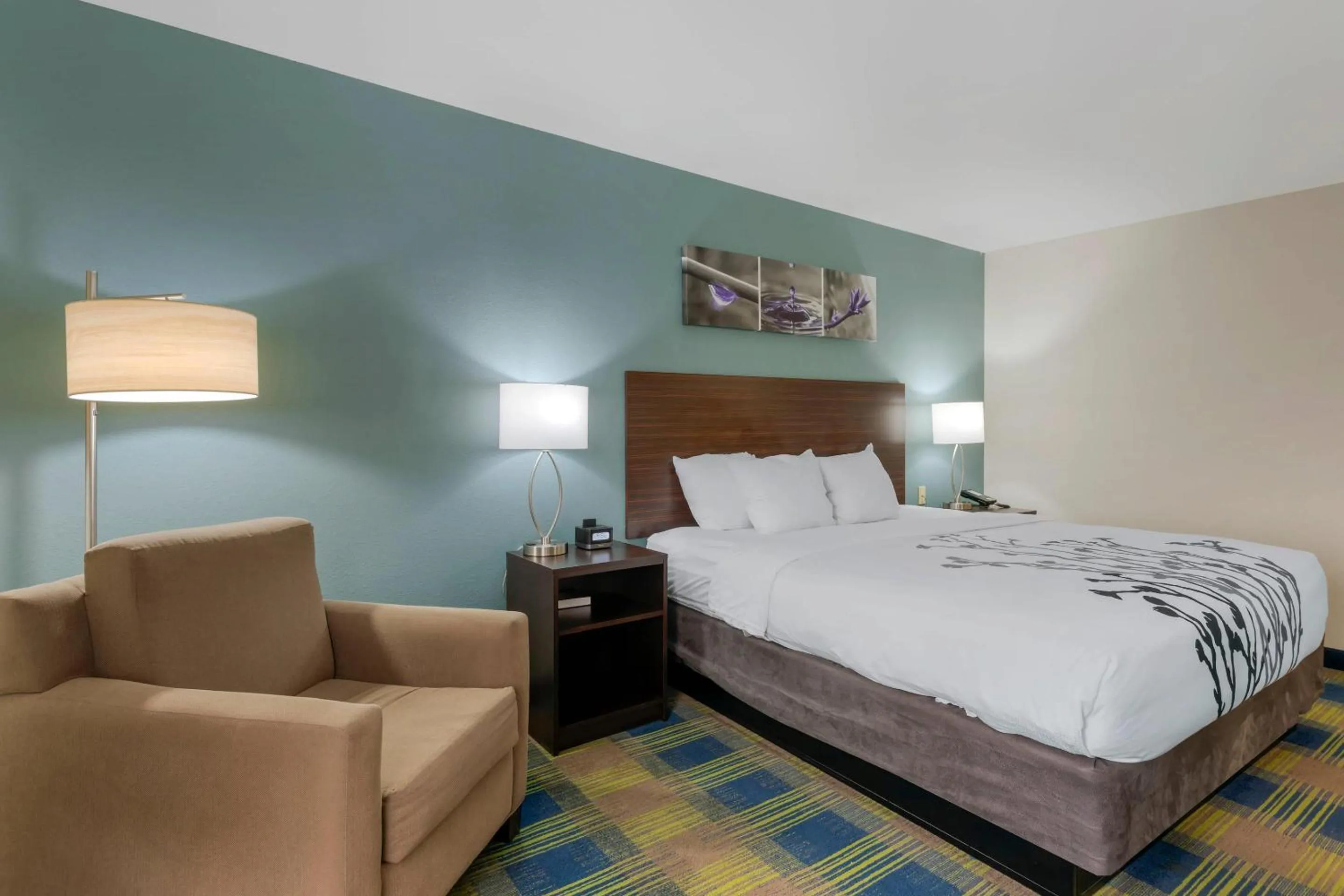 Bedroom, Bed in Sleep Inn & Suites Smyrna - Nashville Area