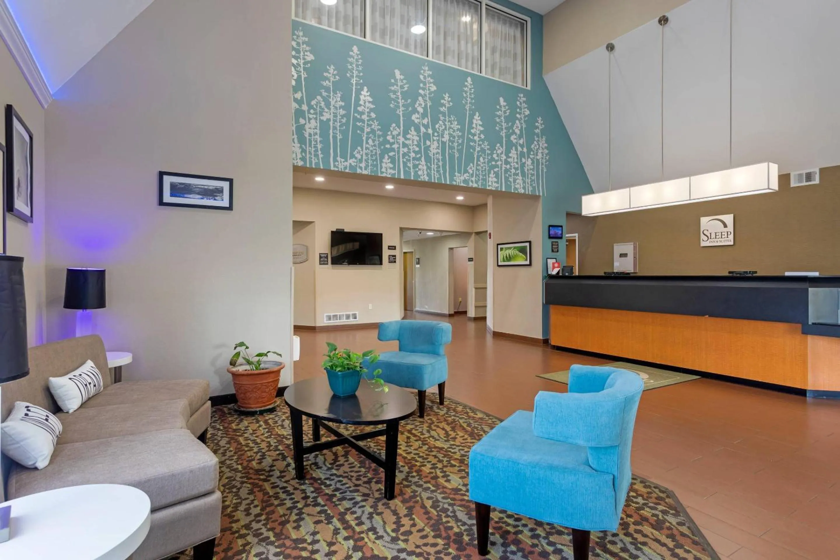 Lobby or reception in Sleep Inn & Suites Smyrna - Nashville Area