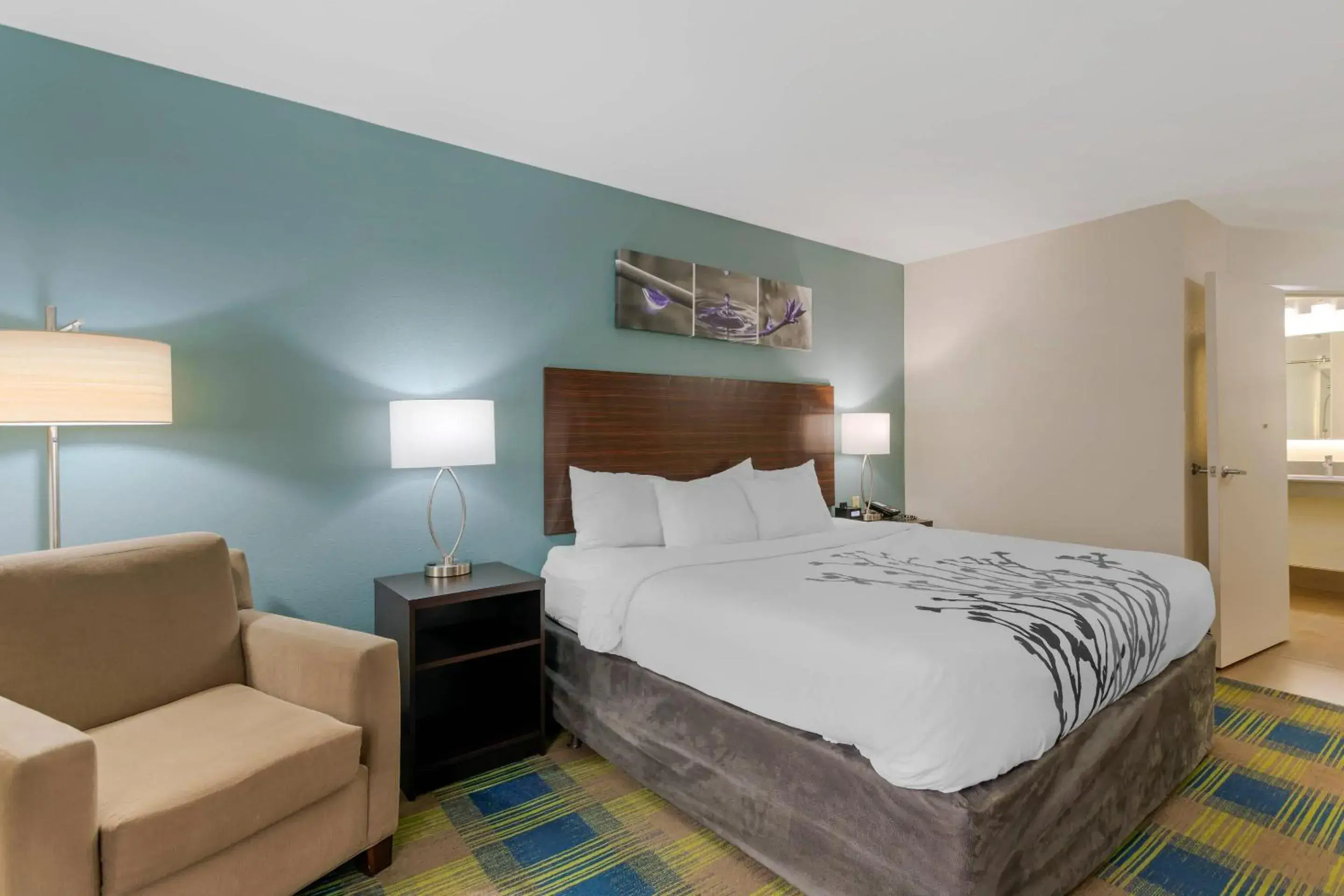 King Room - Accessible/Non-Smoking in Sleep Inn & Suites Smyrna - Nashville Area King Room - Accessible/Non-Smoking in Sleep Inn & Suites Smyrna - Nashville Area
