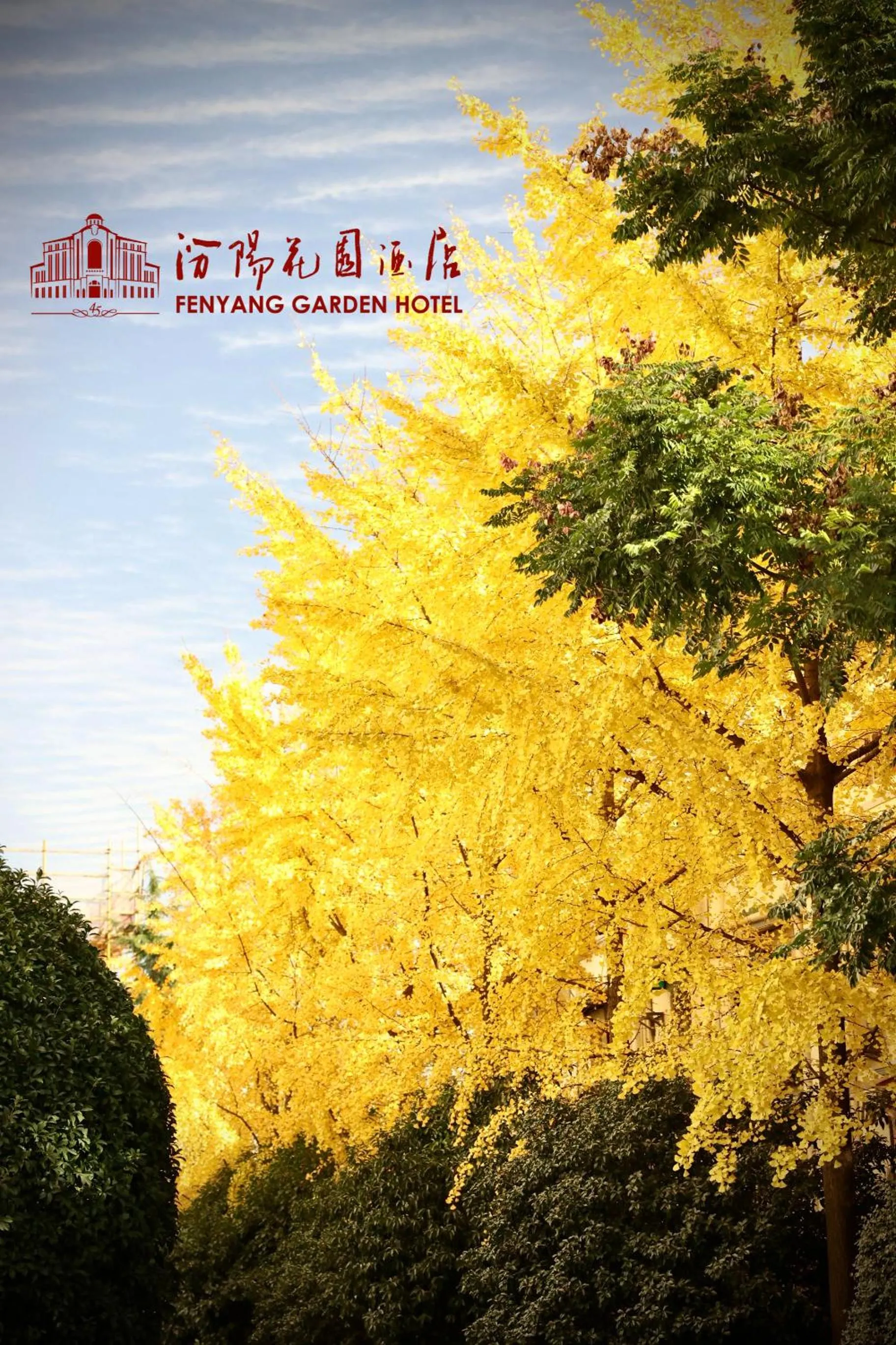 Garden in Shanghai Fenyang Garden Boutique Hotel