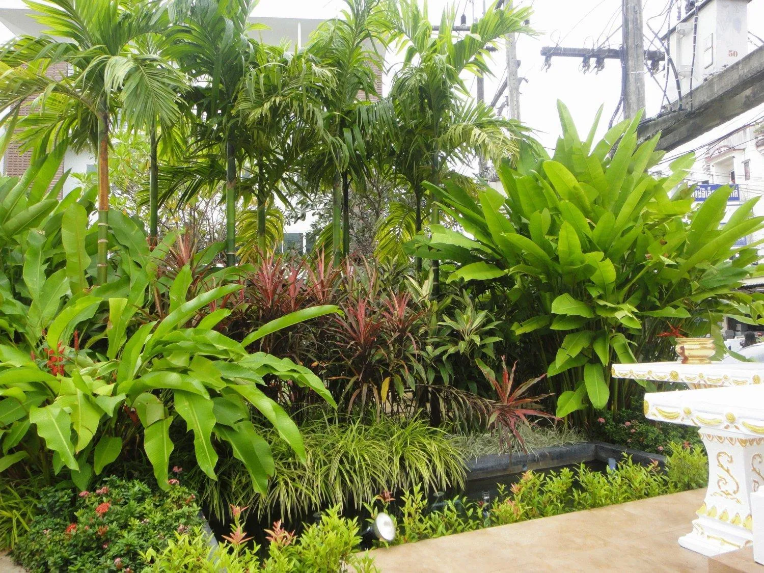 Garden in Twin Hotel