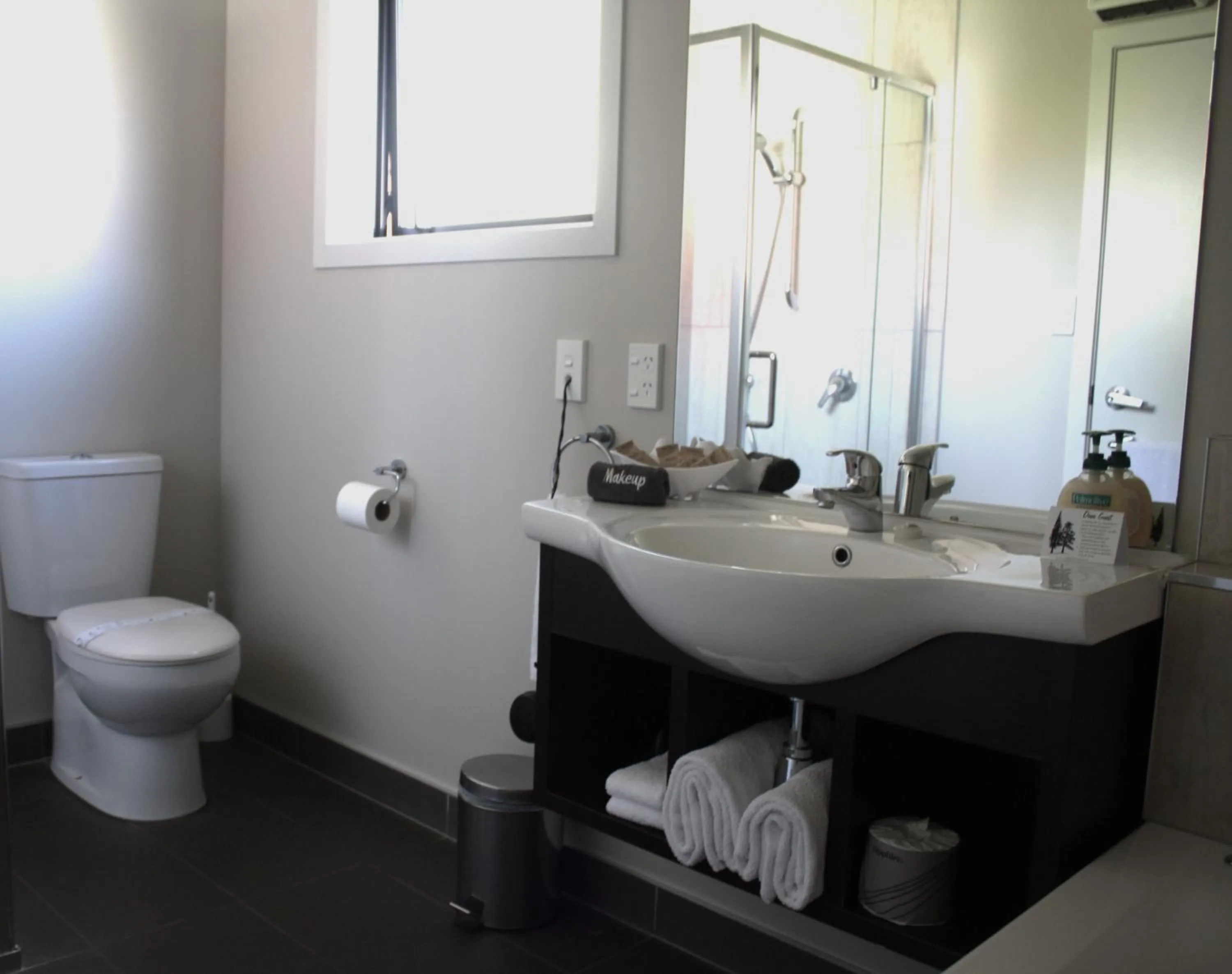 Toilet in Albert Court Motor Lodge