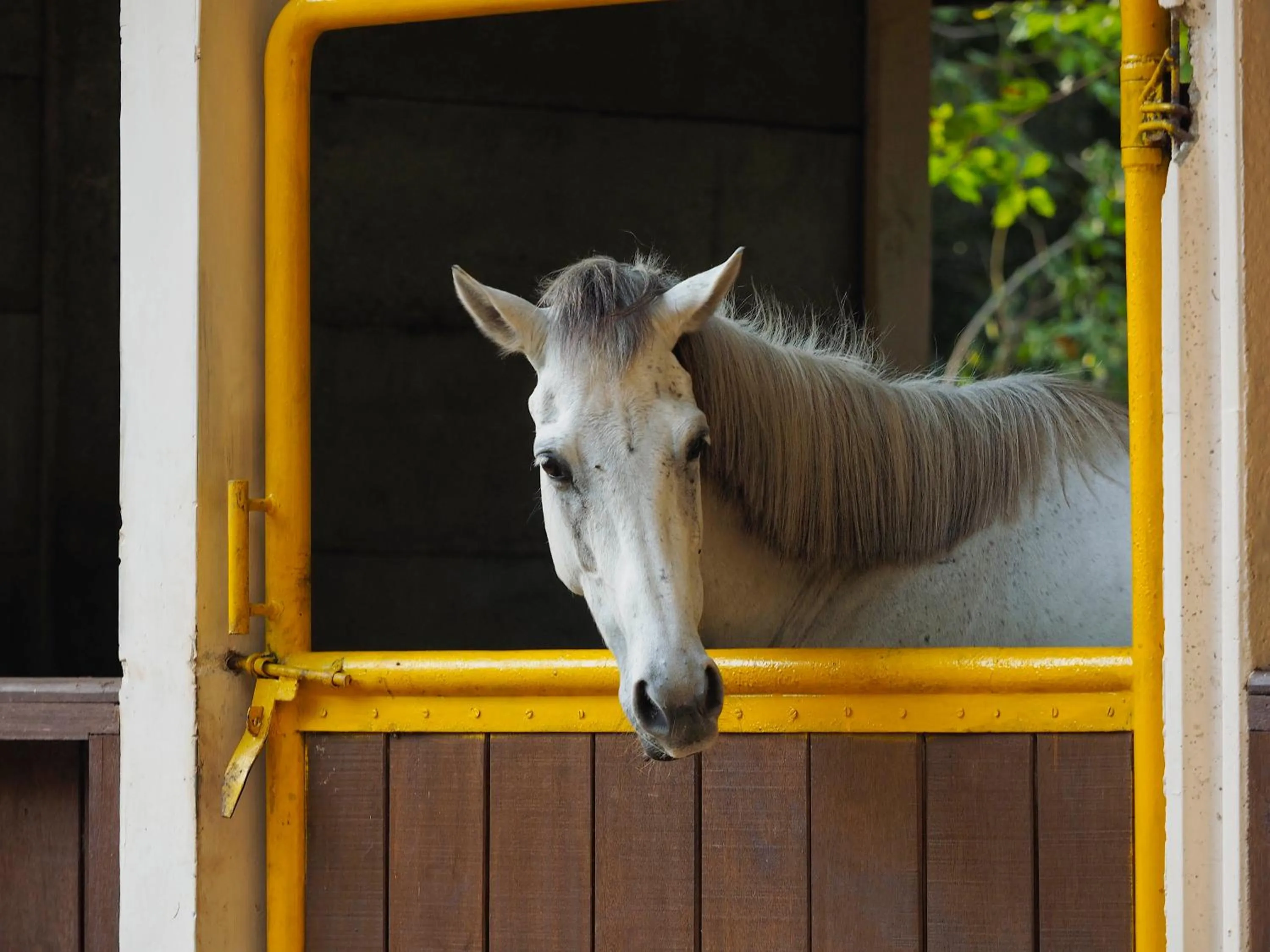 Activities in The Menjangan by LifestyleRetreats
