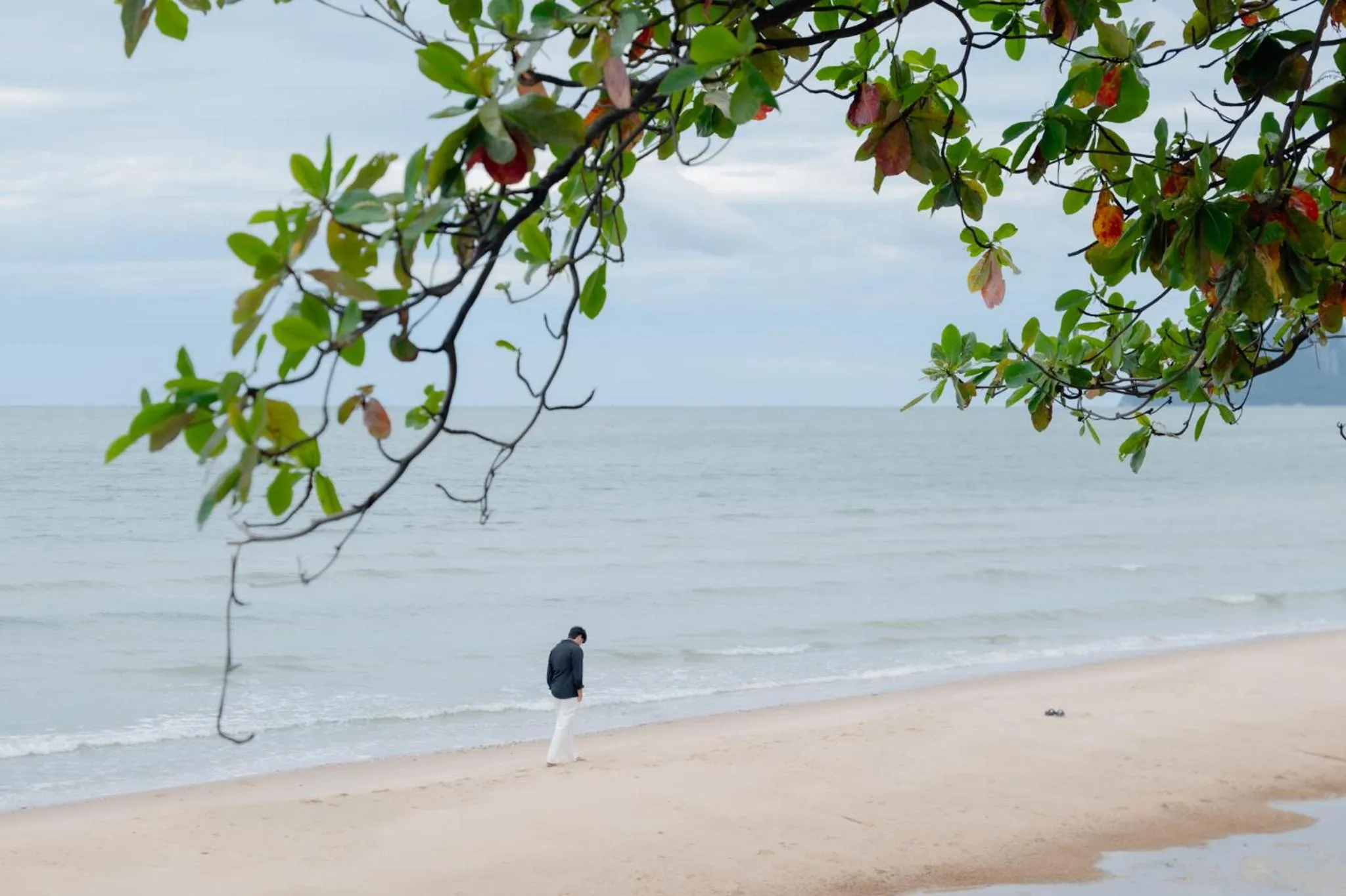 Tolani Resort Kui Buri