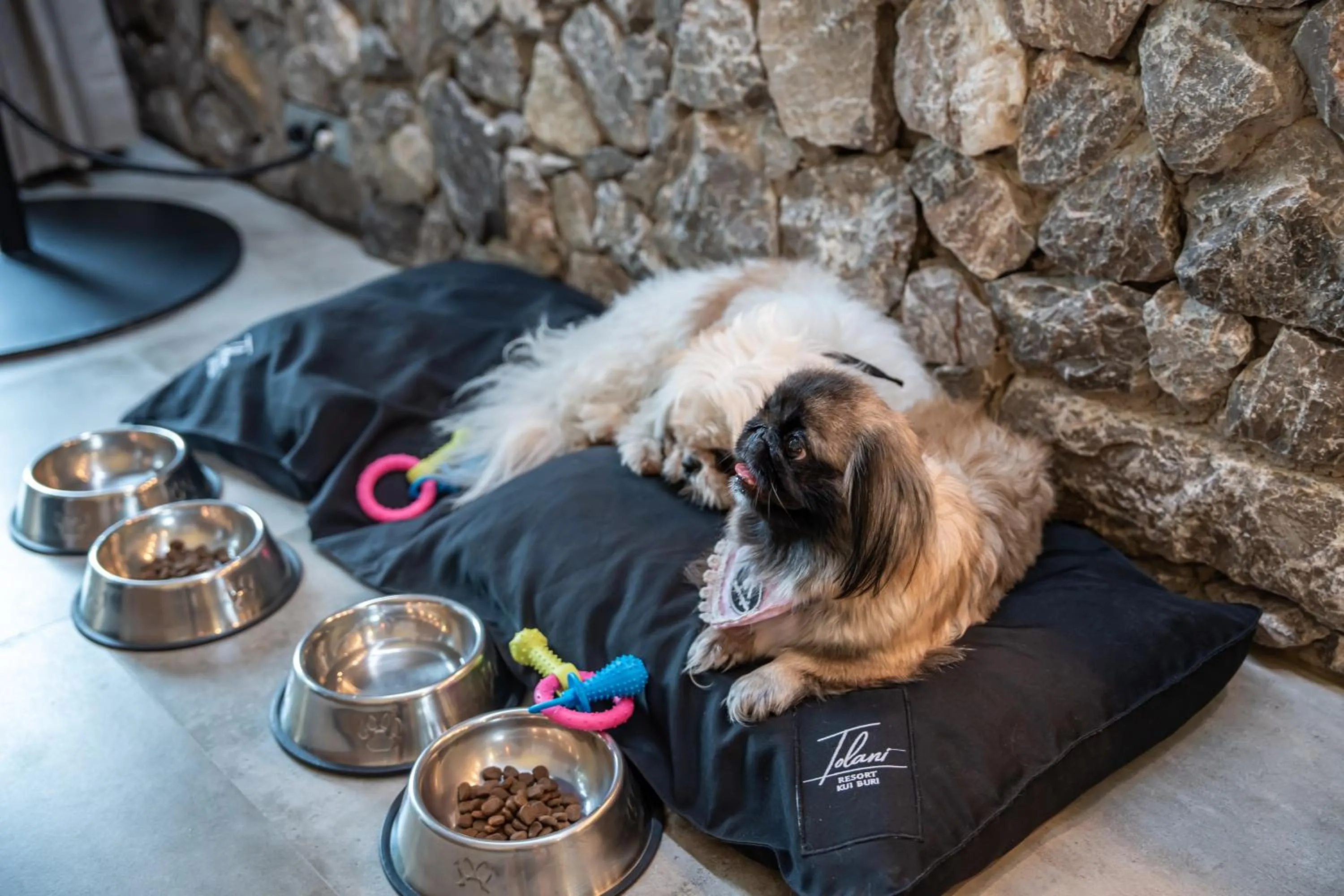 Tolani Resort Kui Buri