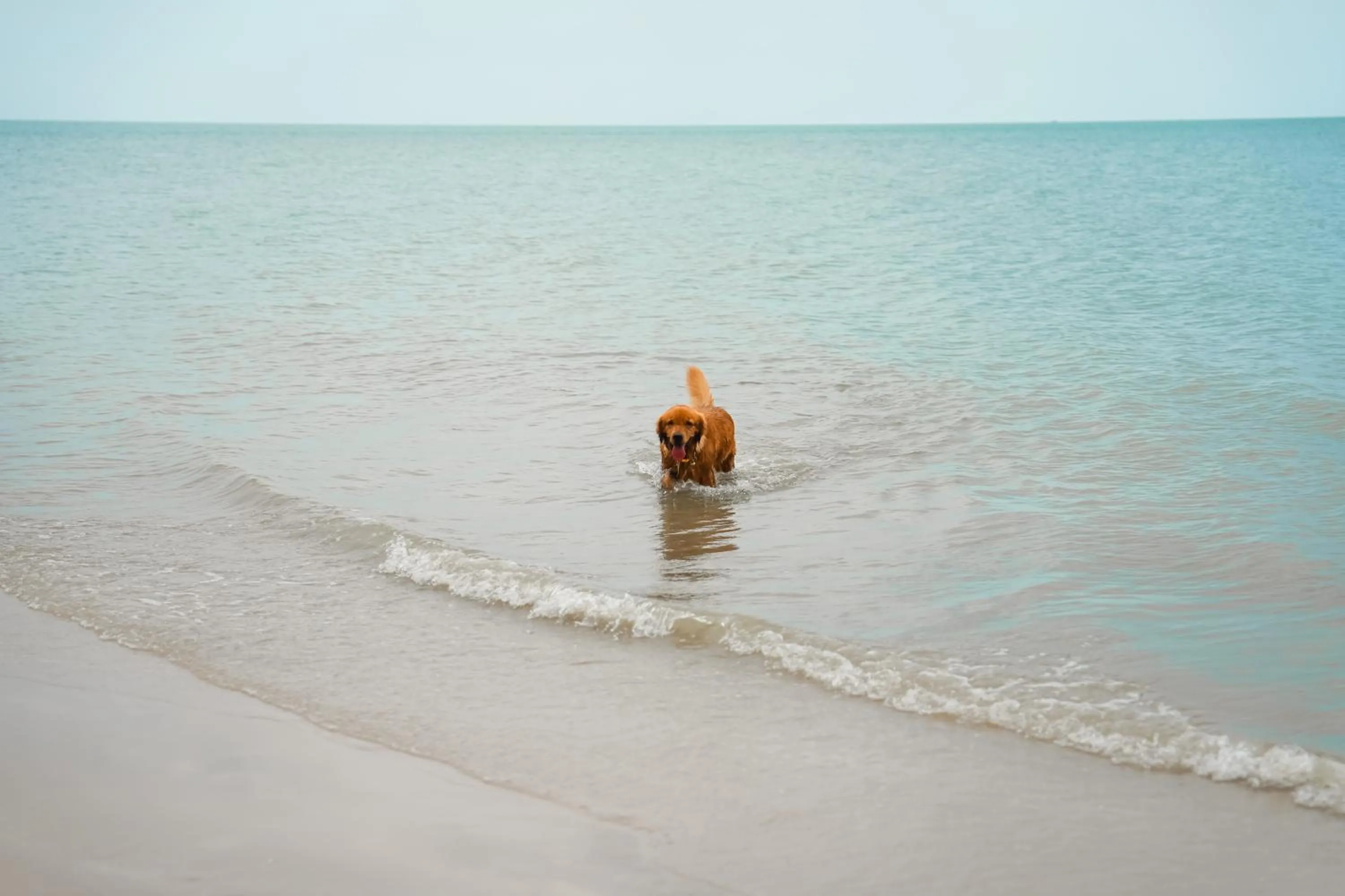 Tolani Resort Kui Buri