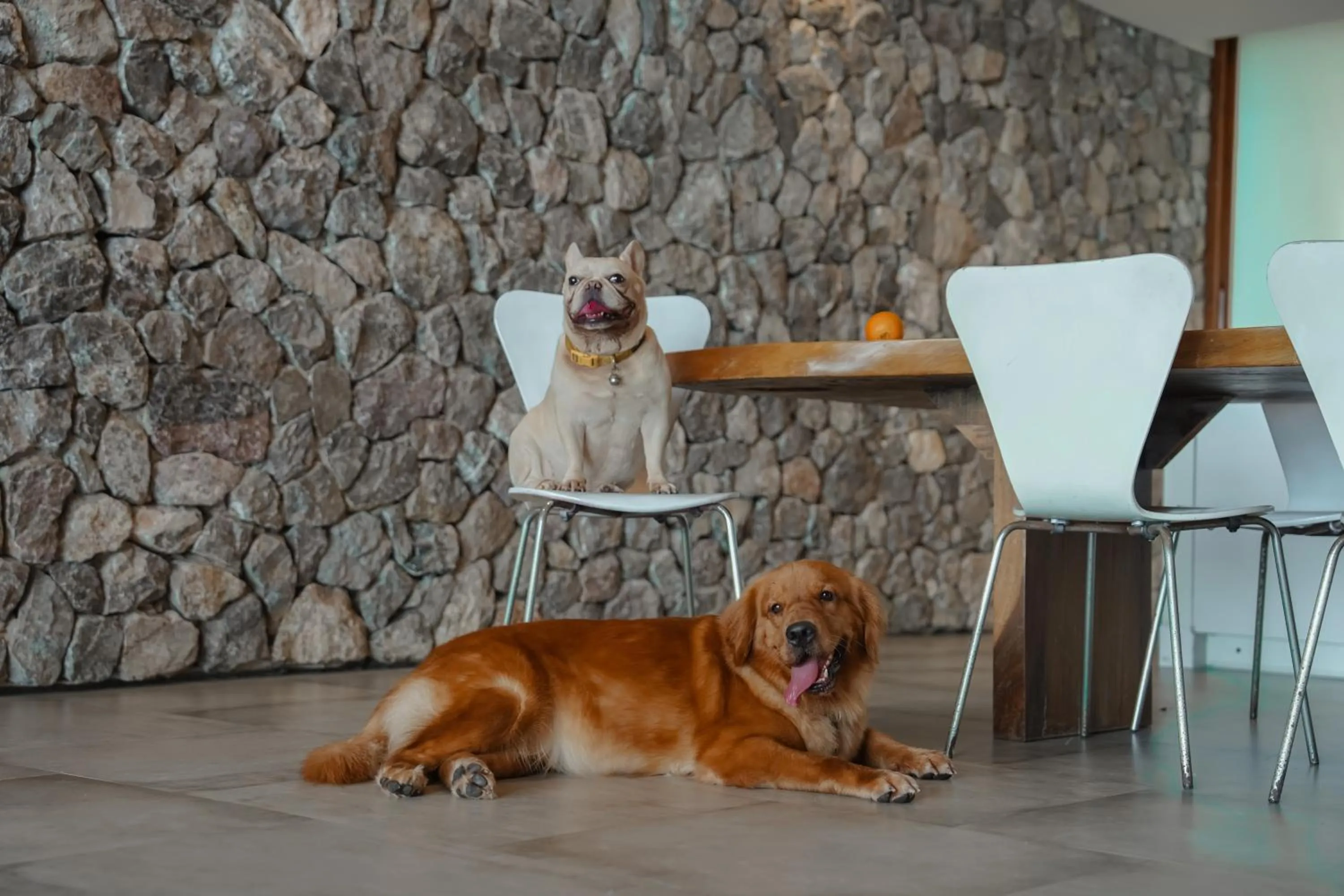 Tolani Resort Kui Buri