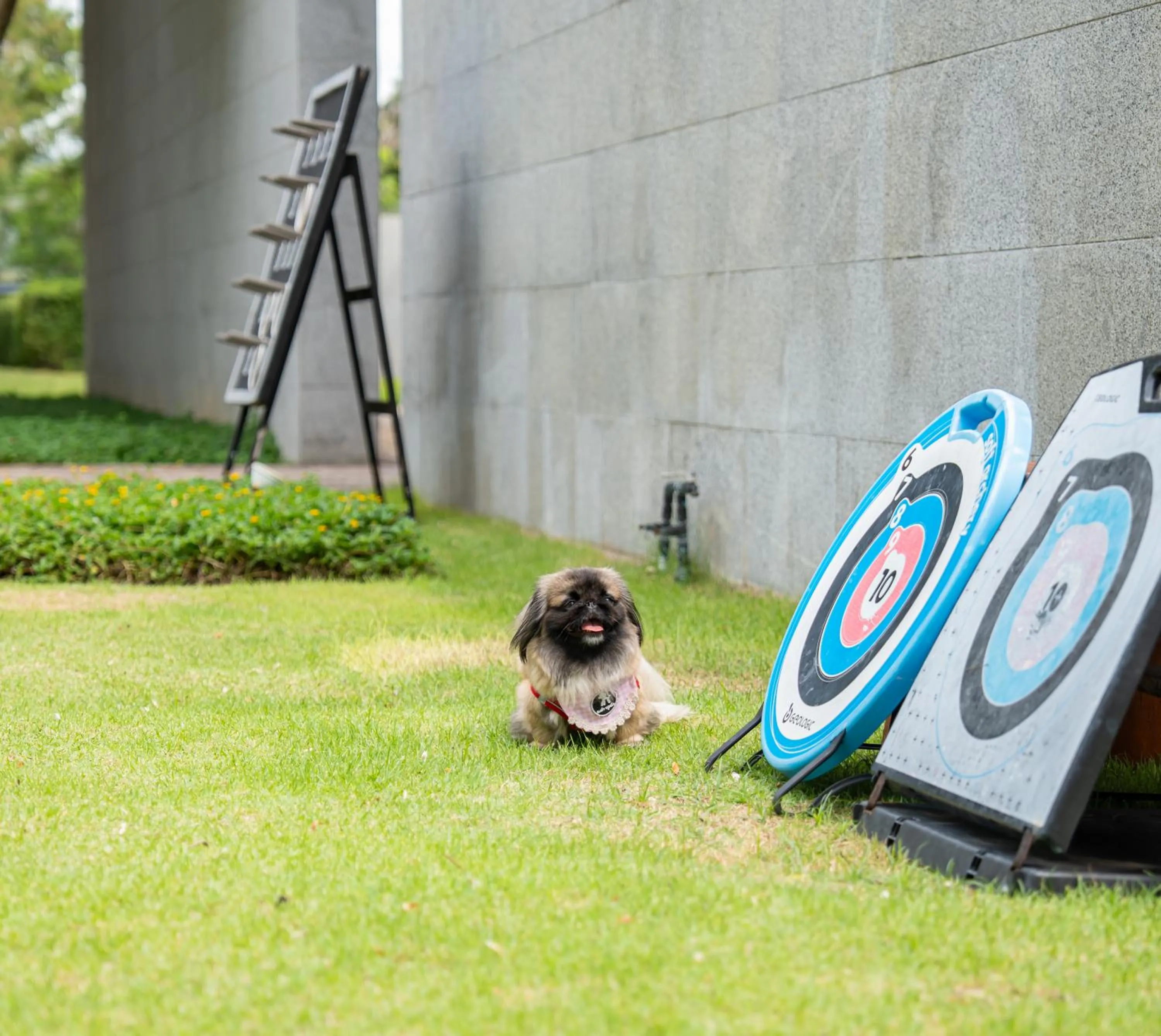 Tolani Resort Kui Buri