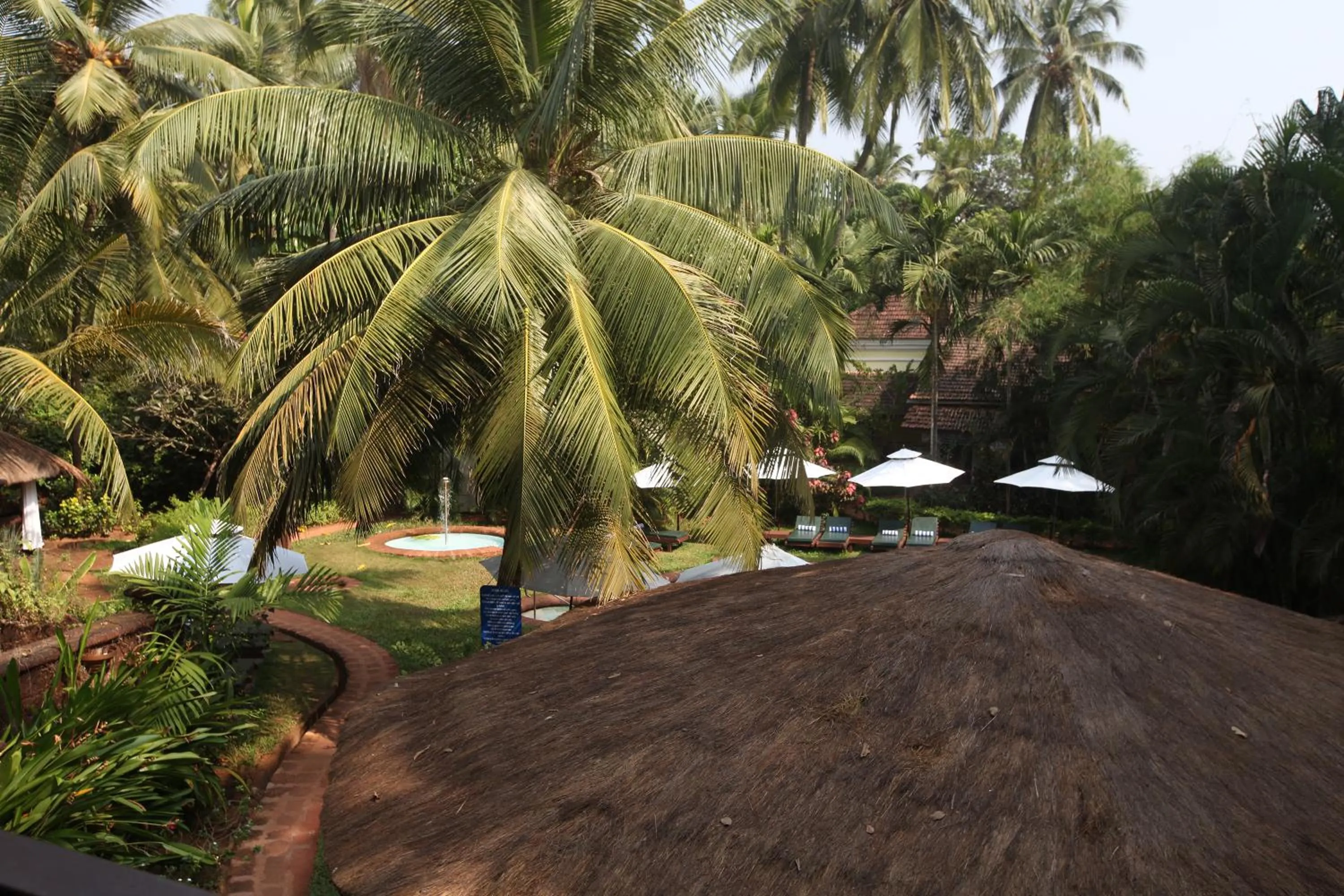Garden in Presa di Goa - Managed by Smith and Appy